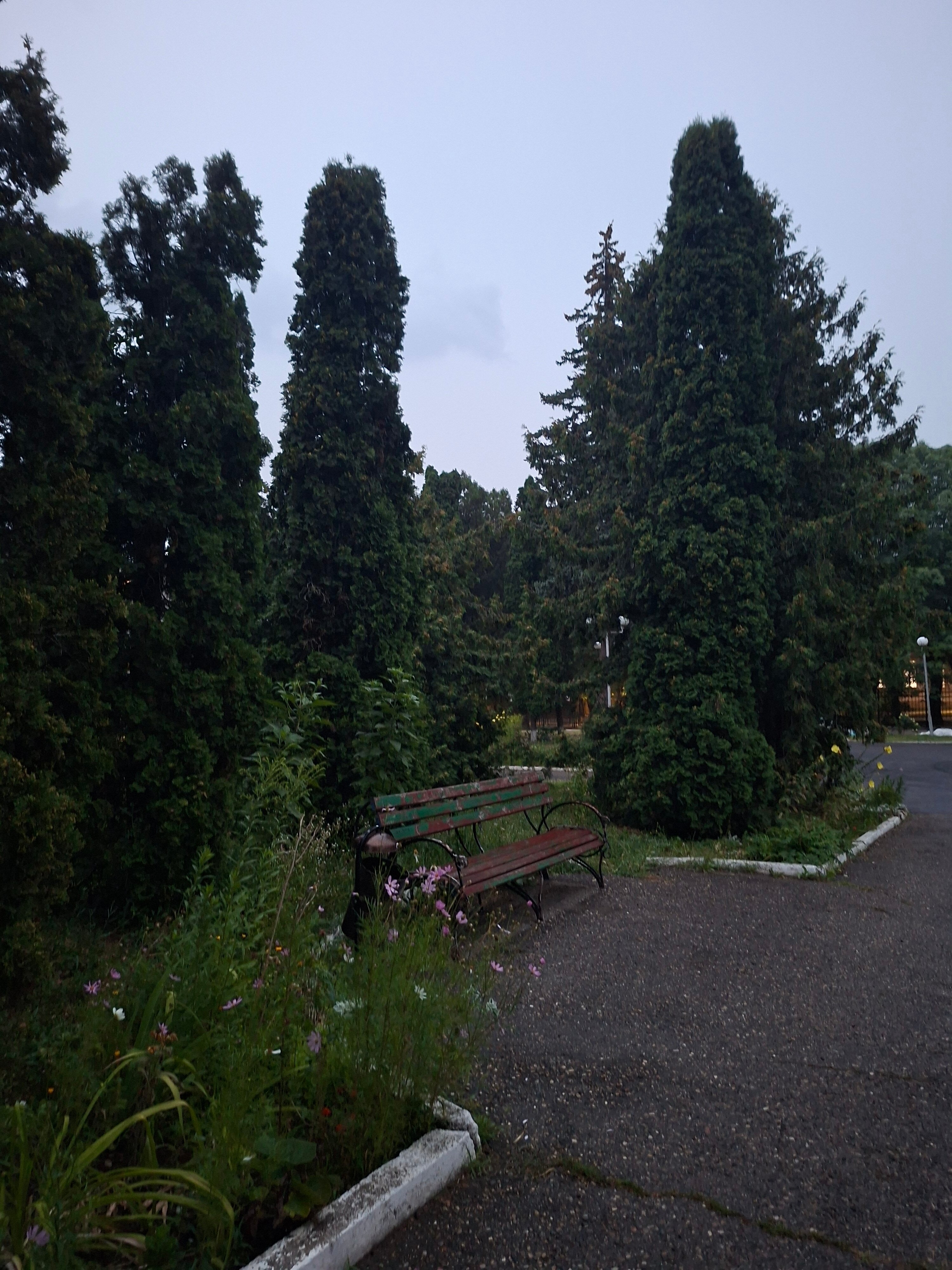 Фото Клинический центр Медицинского центра Юность