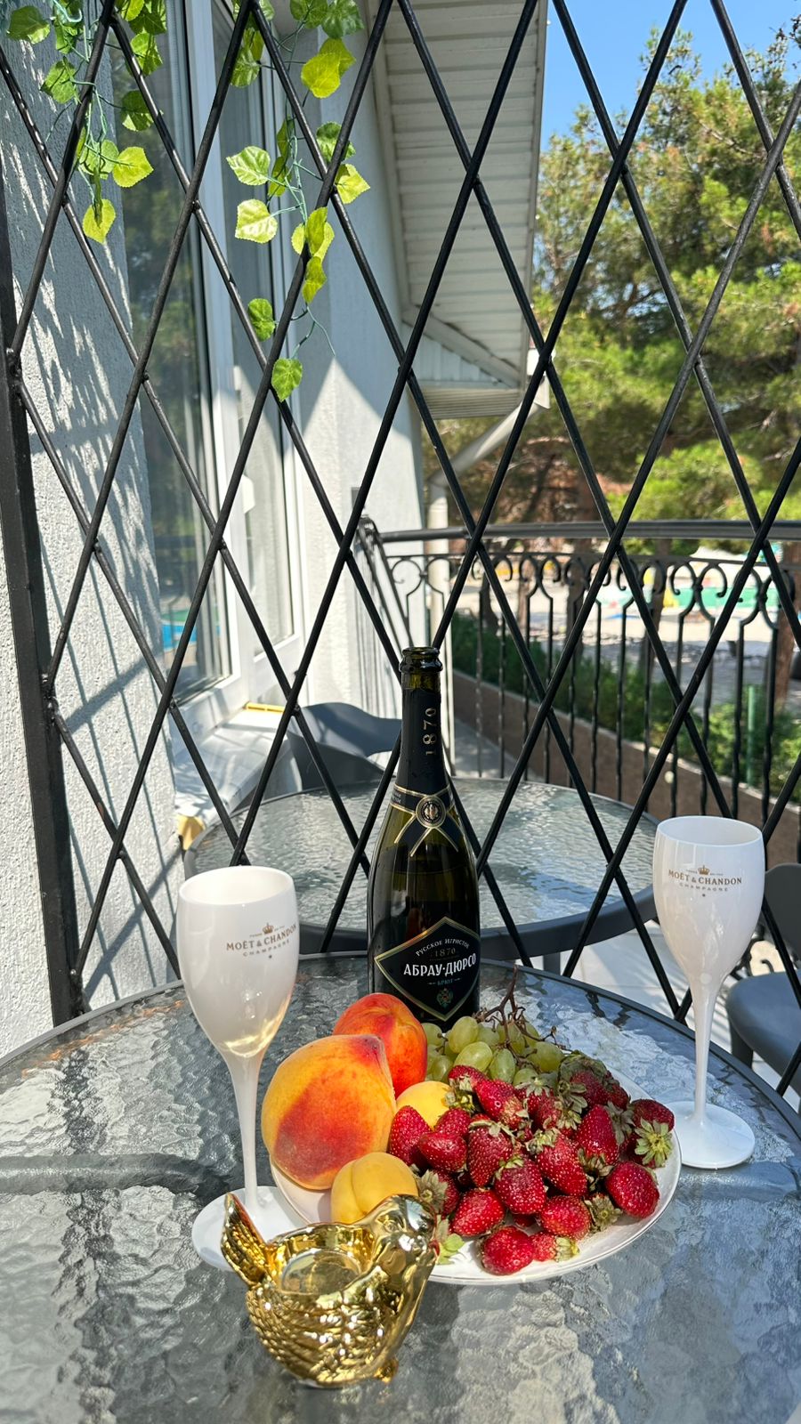 Фото Calypte Anna