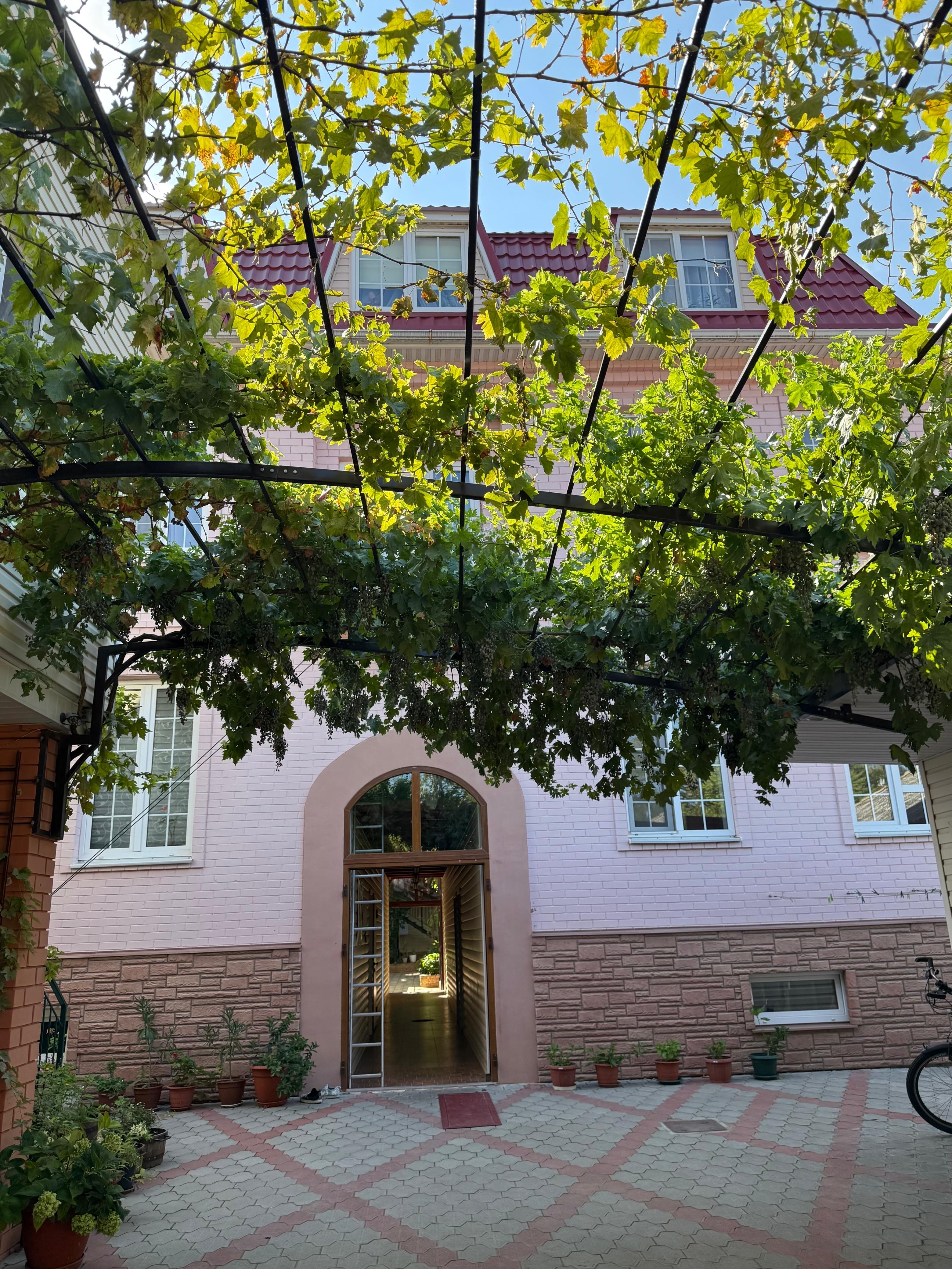 Фото Ангелина