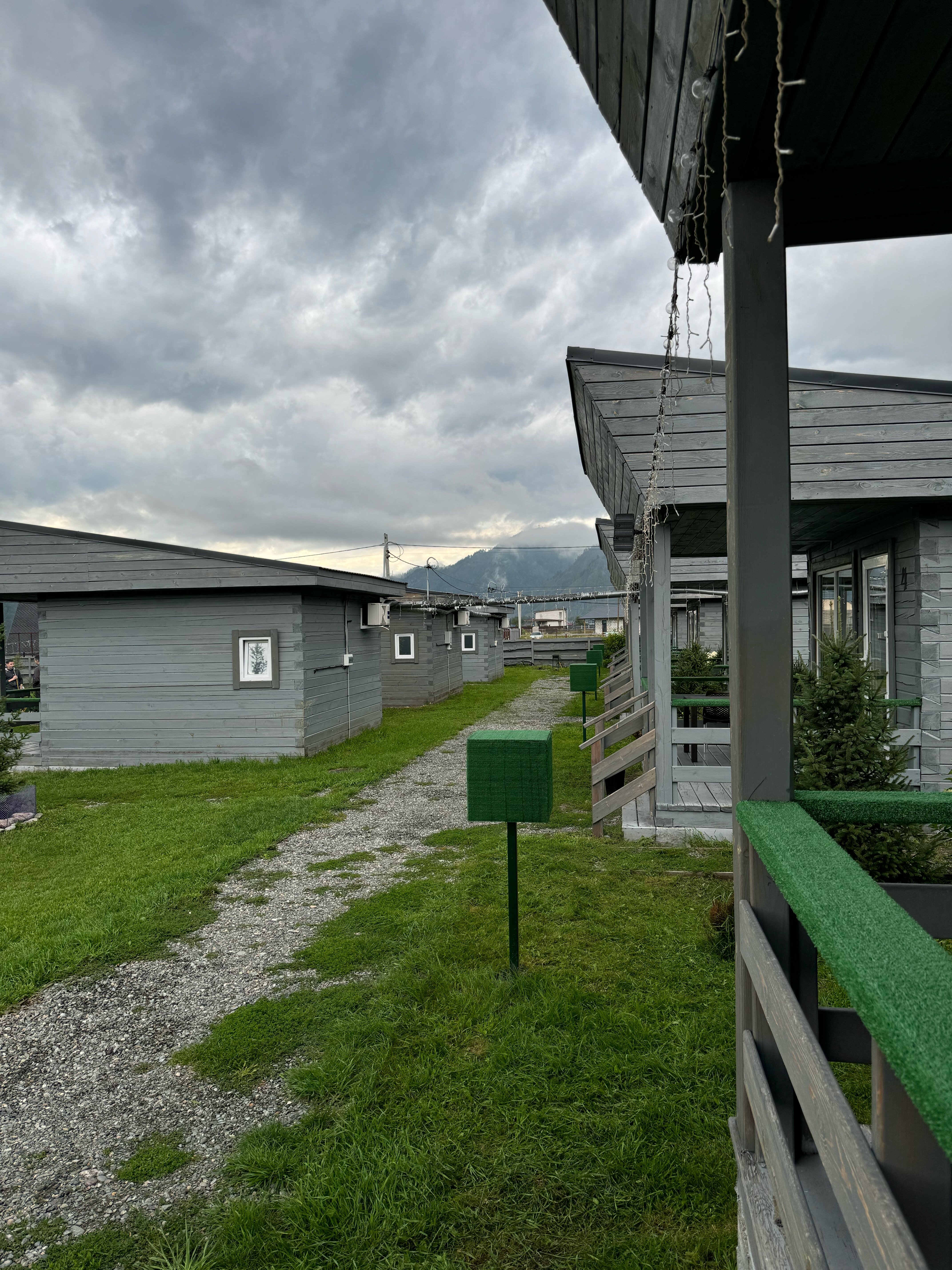 Фото Алтай Лотос