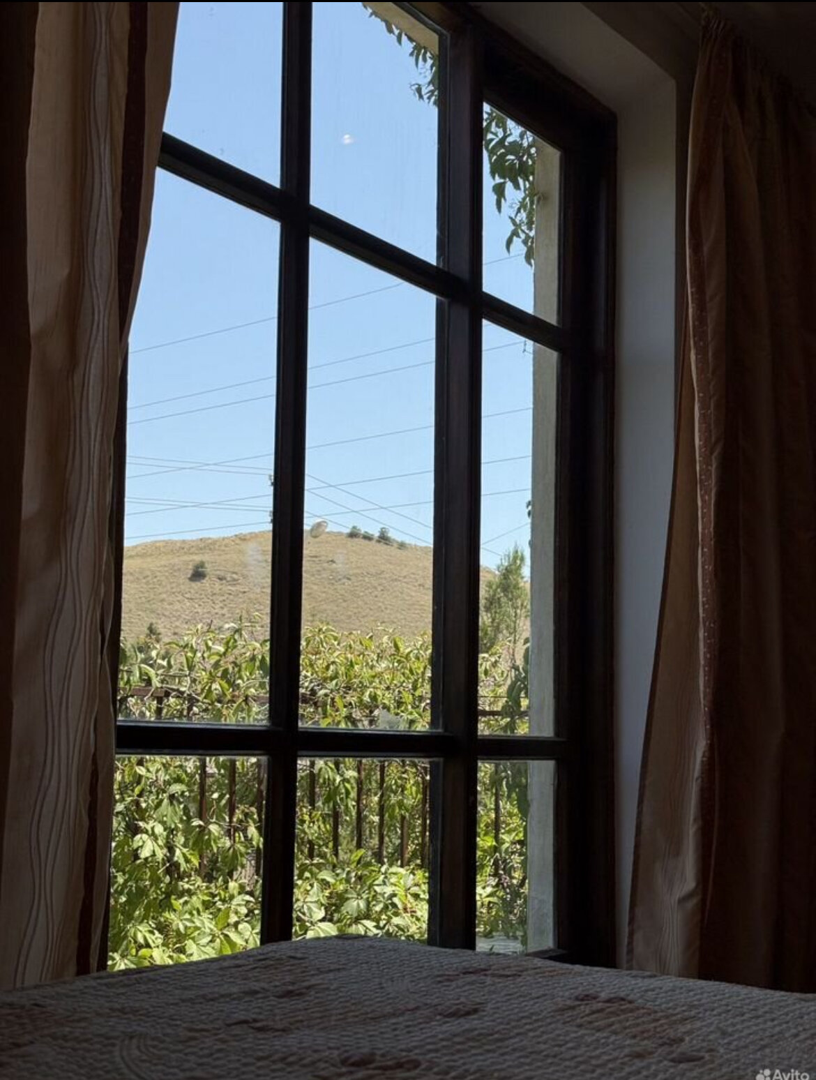 Фото Эко Дача Вилла Эмма