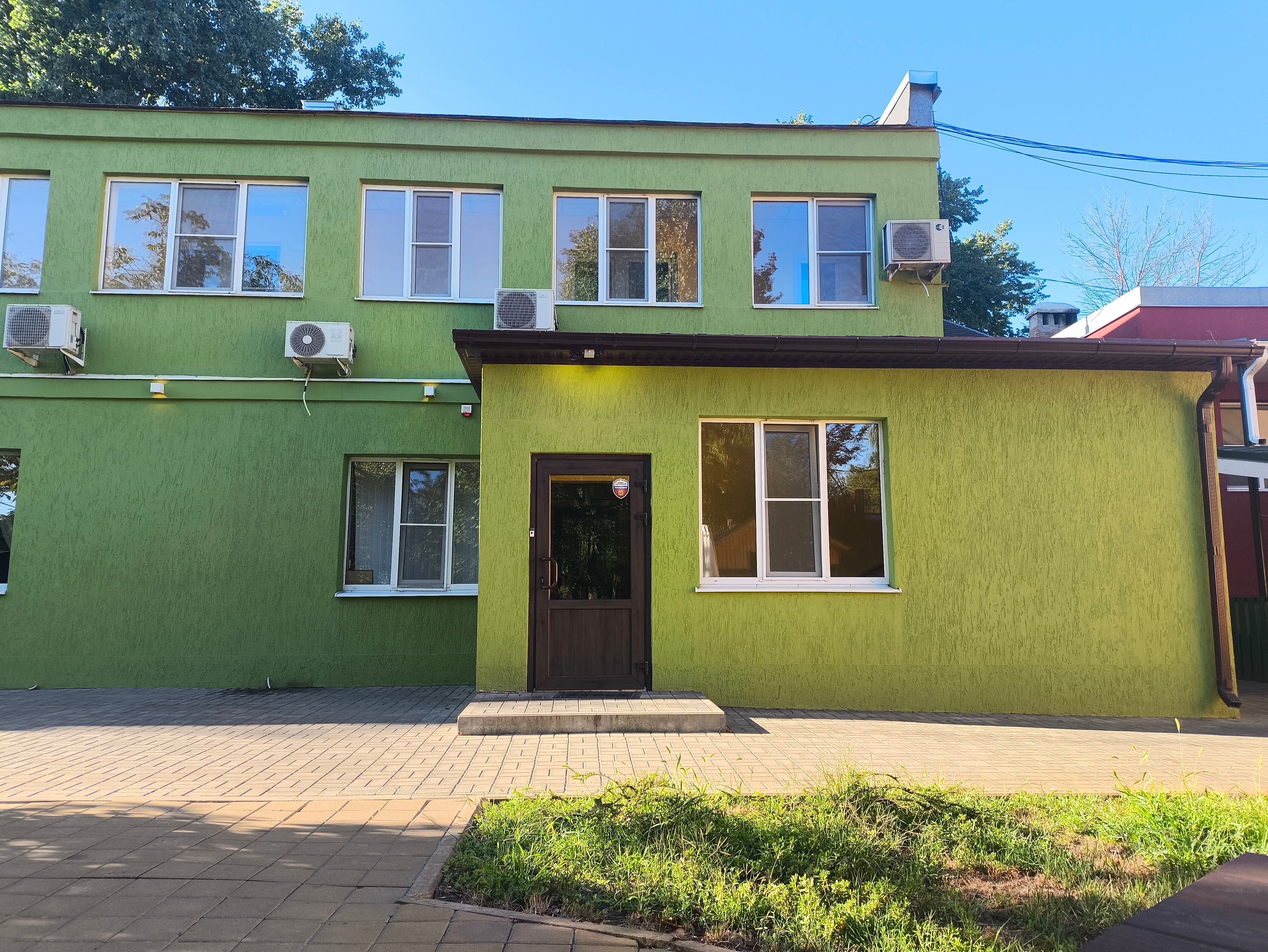 Фото Iva тенистая