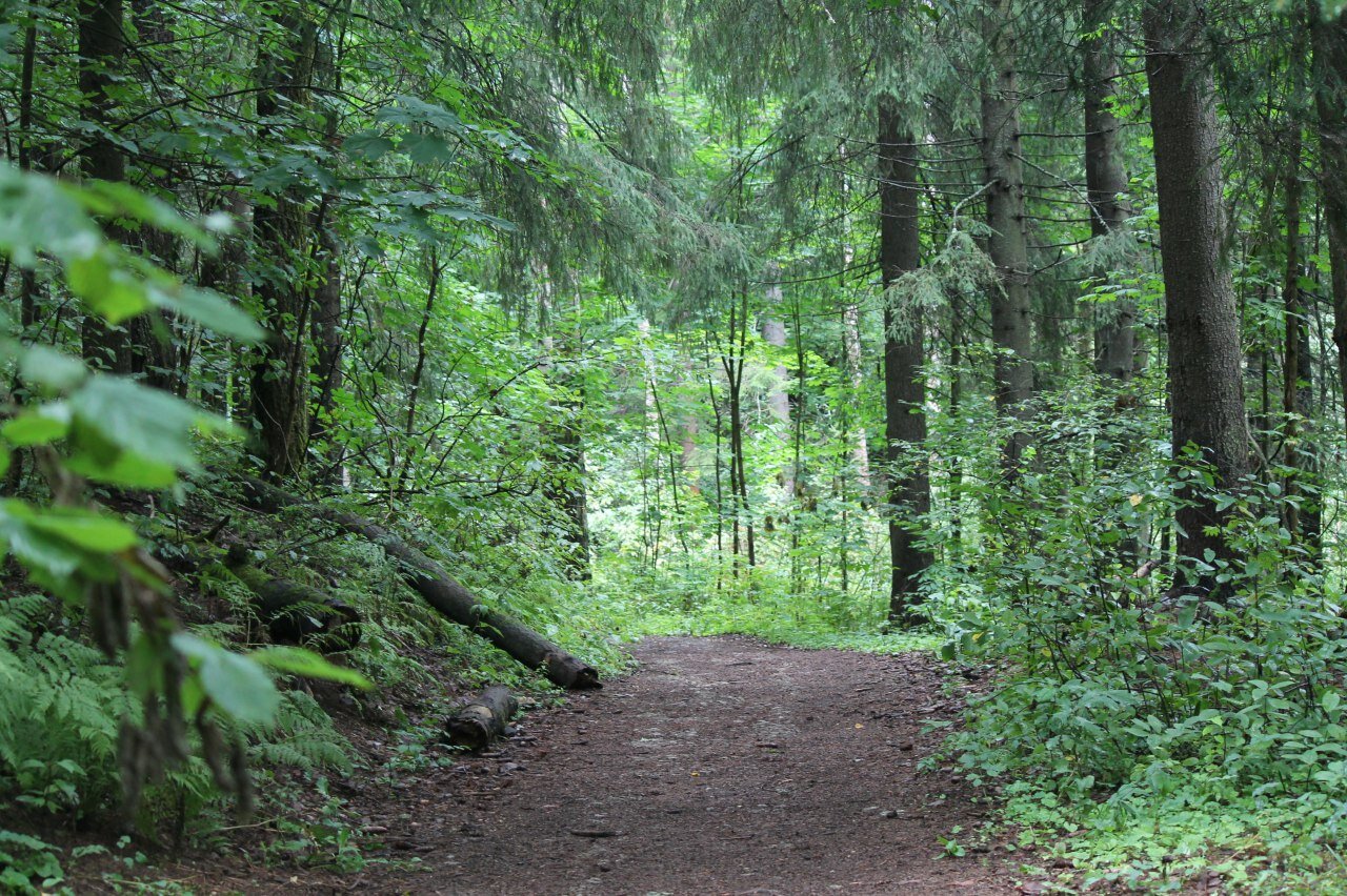 Фото Курголовский Берег