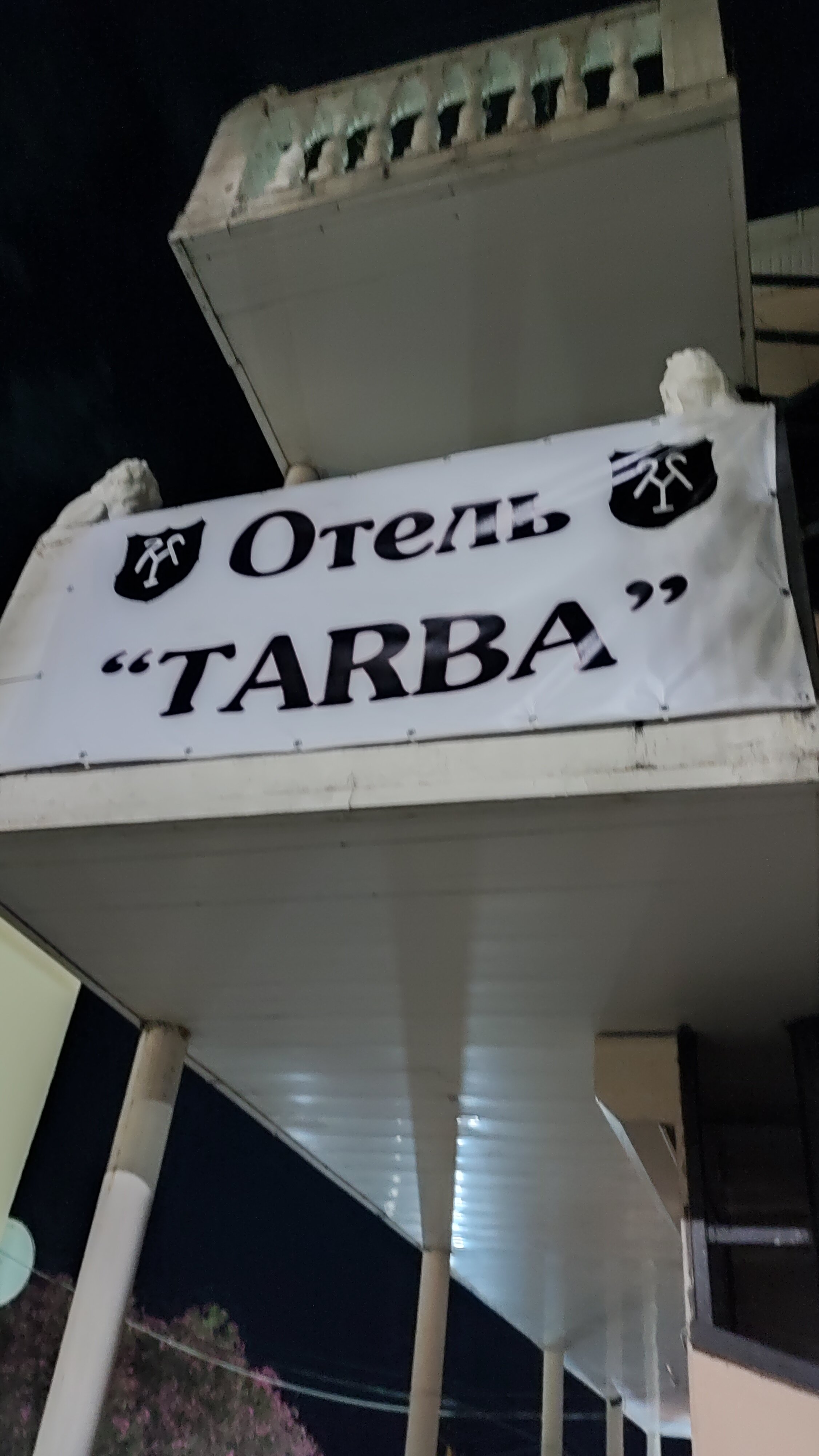 Фото Тарба