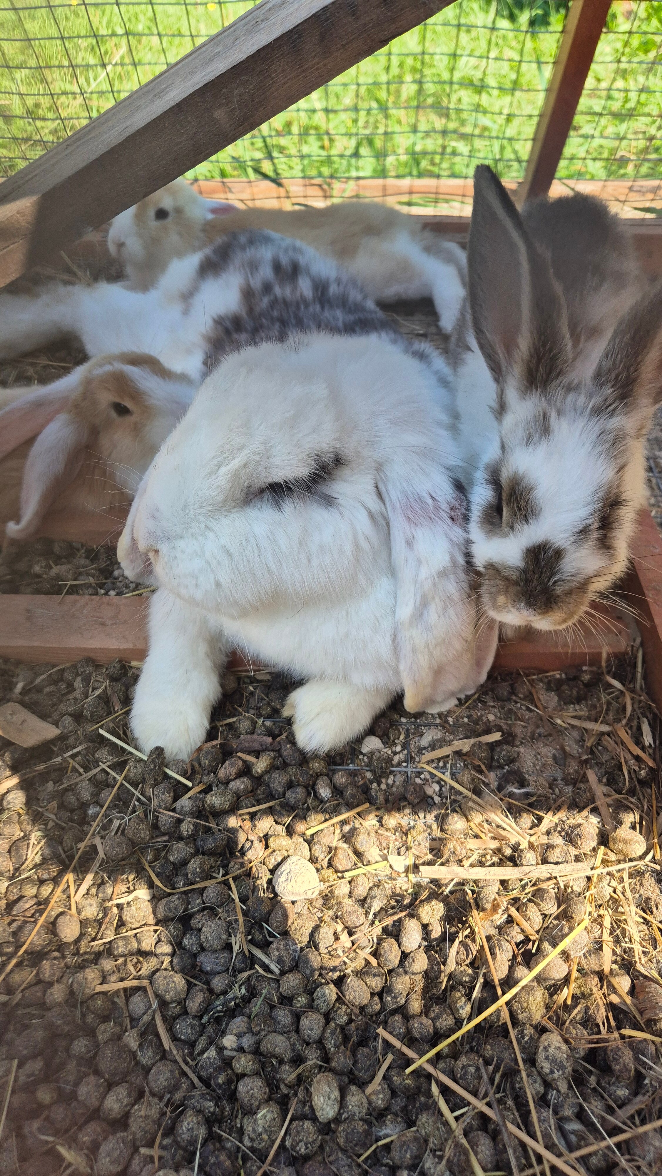 Фото Лунная Долина