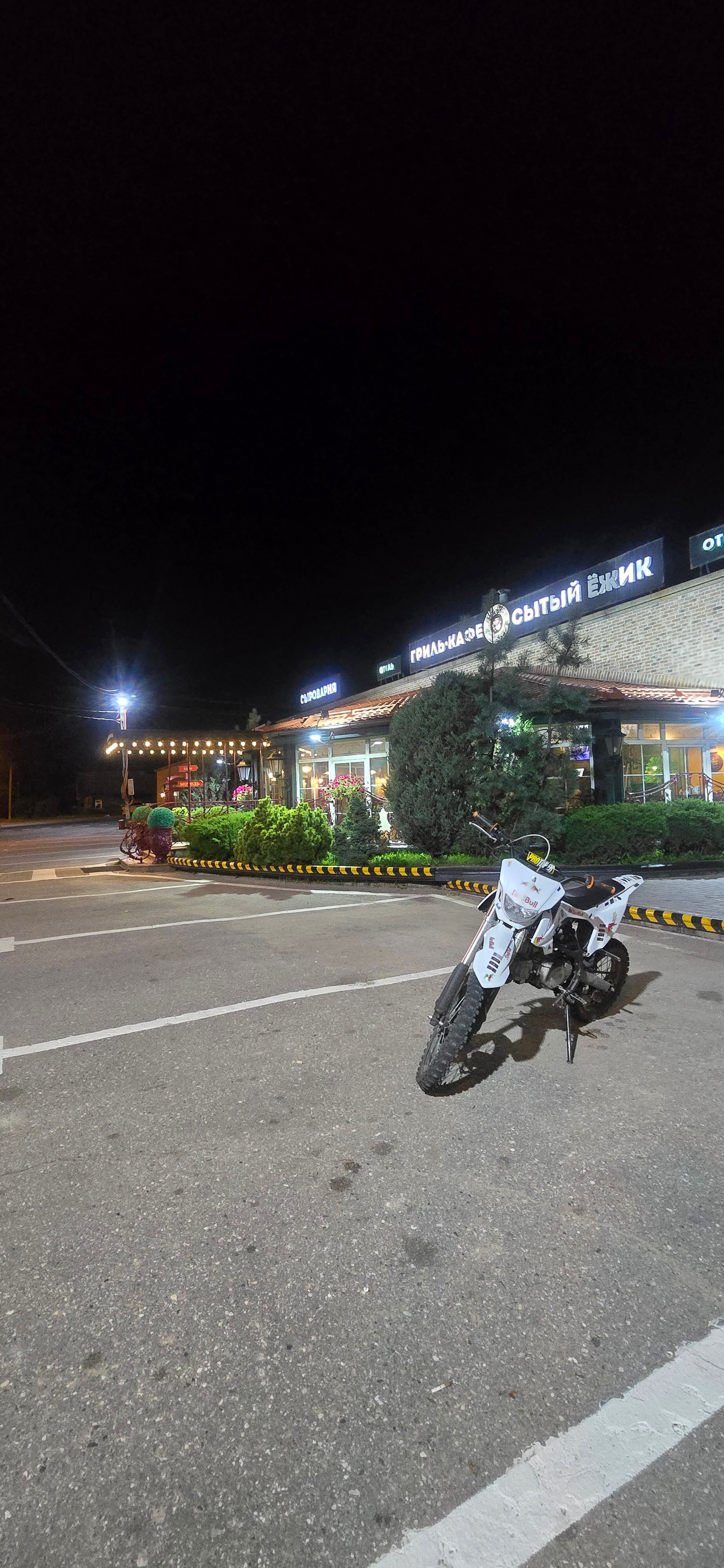 Фото Сытый Ежик