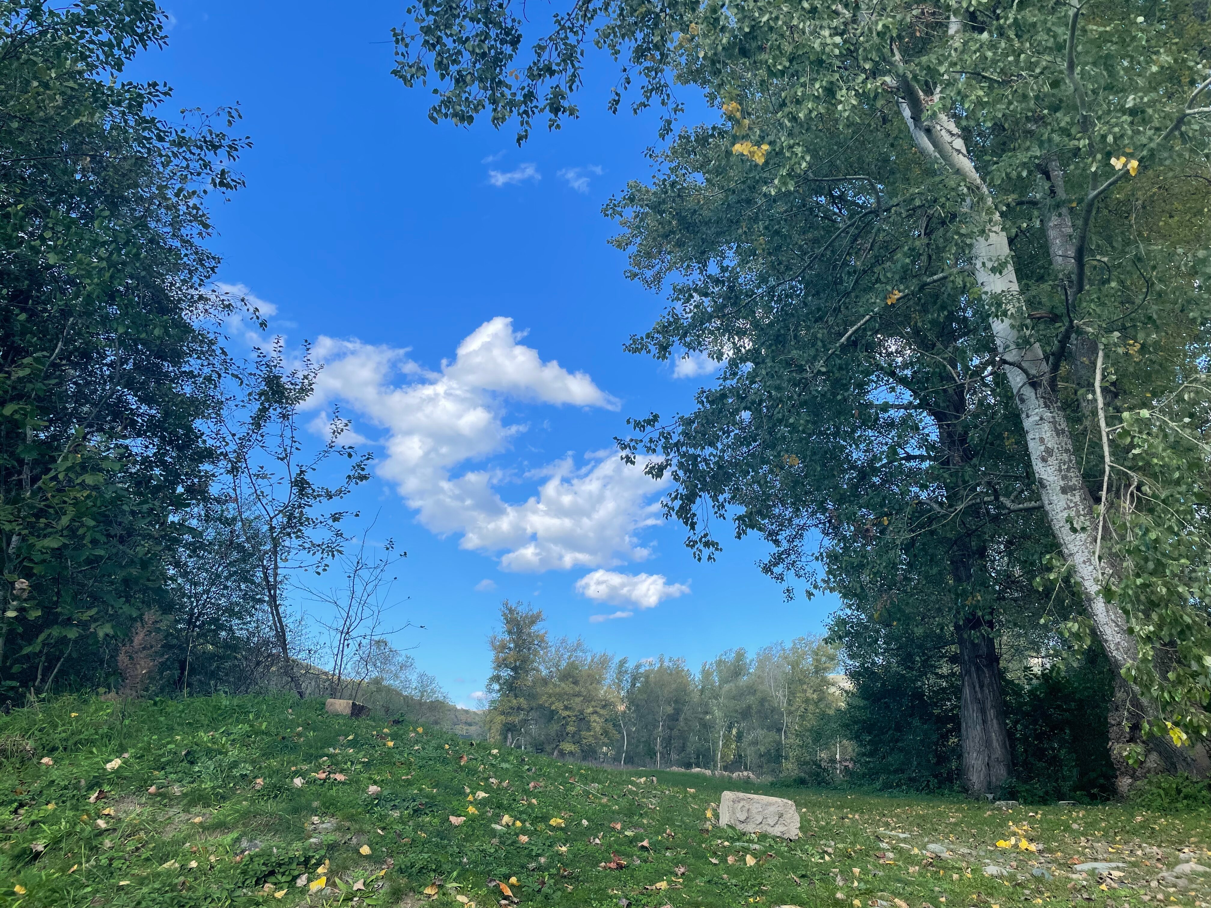 Фото Villa_Verona