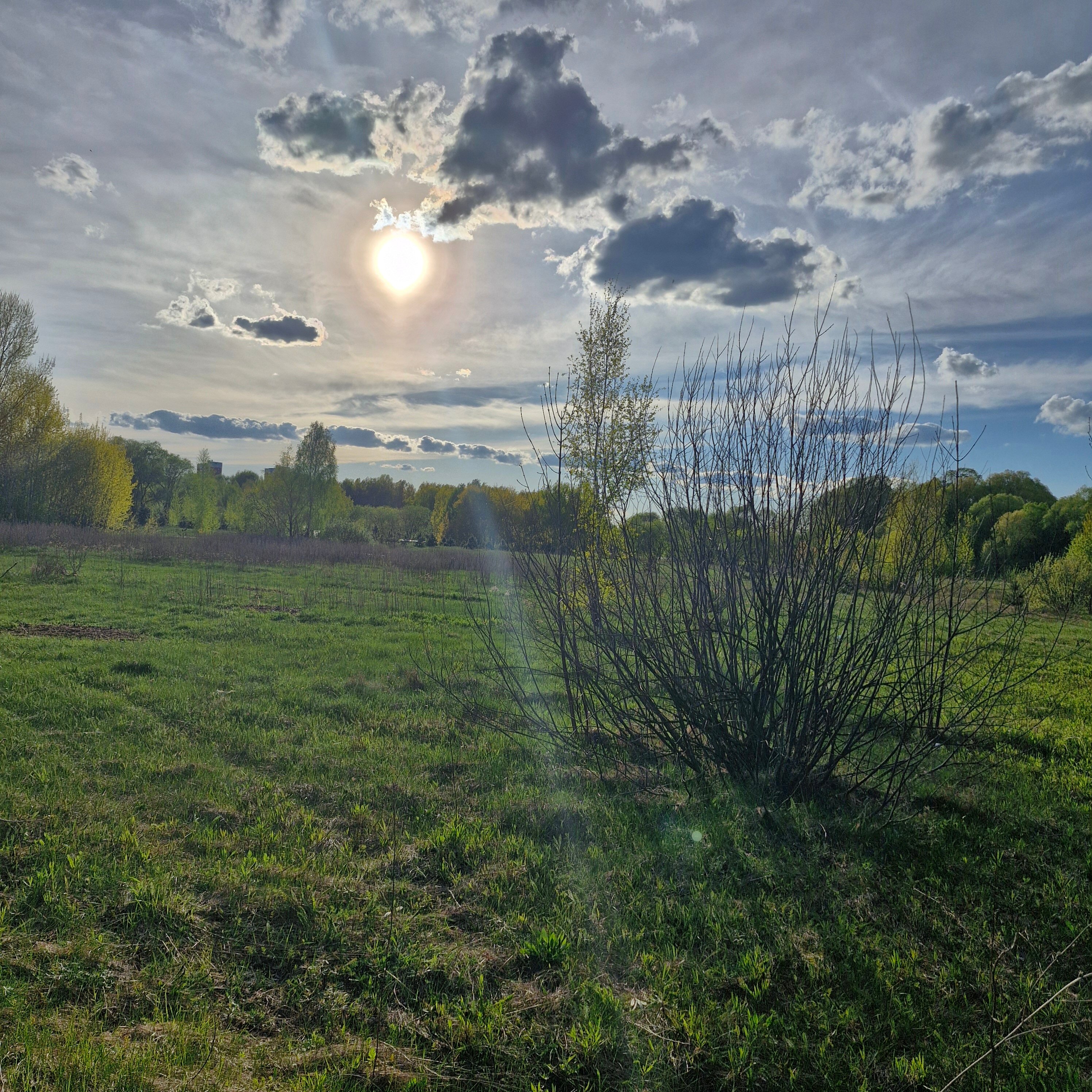 Фото Гомель