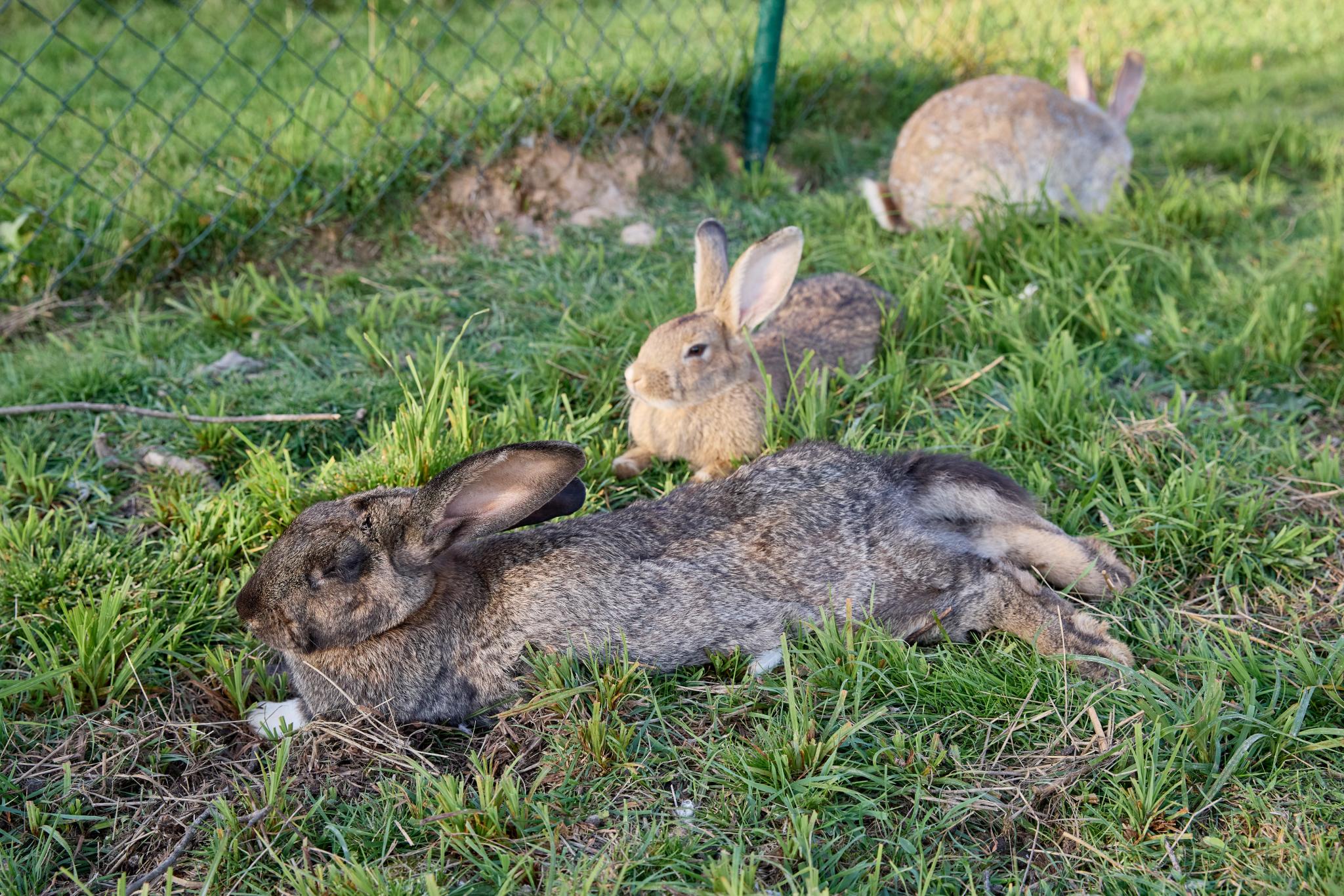 Фото Просто Эко