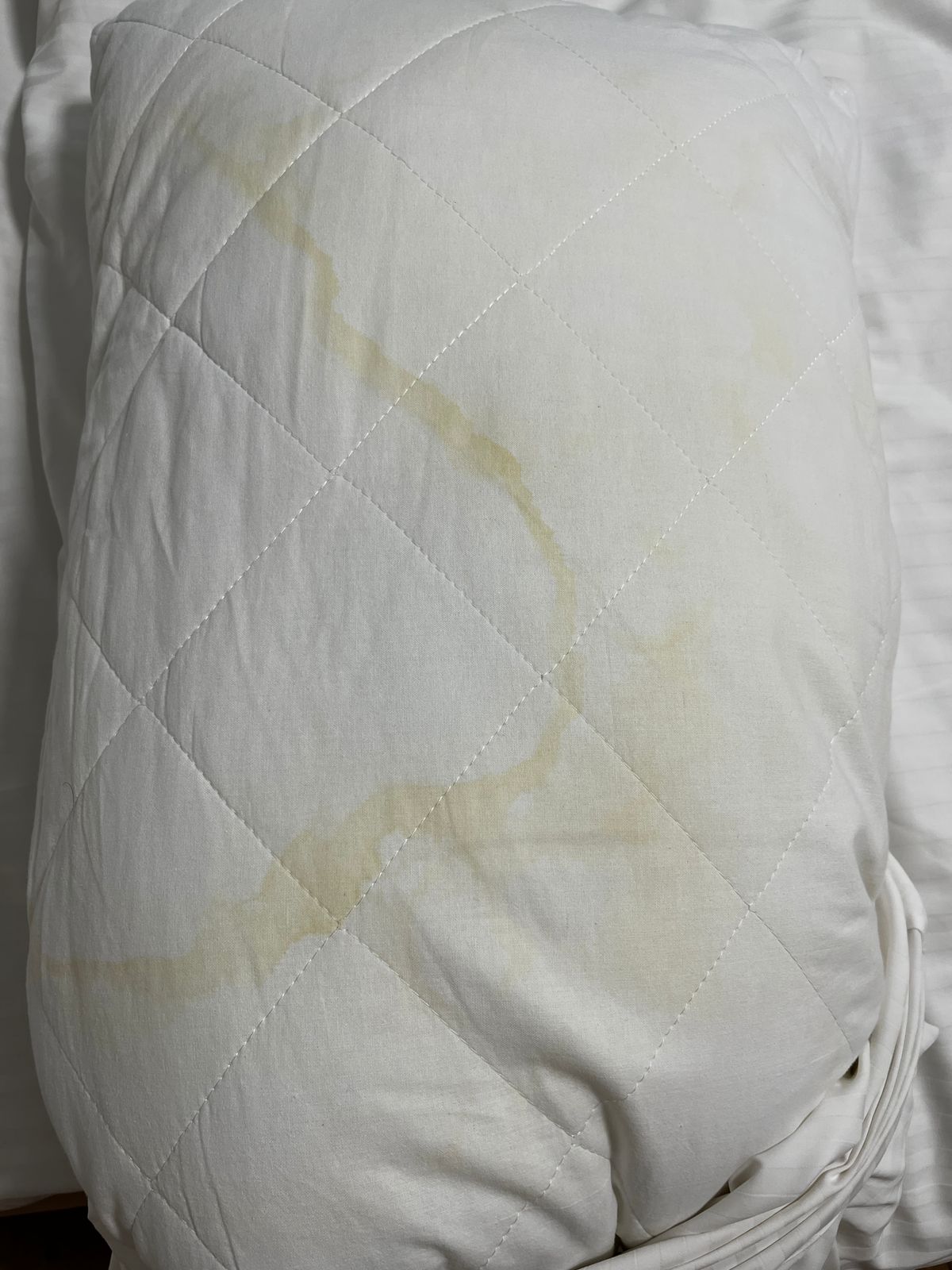 Фото Премьер