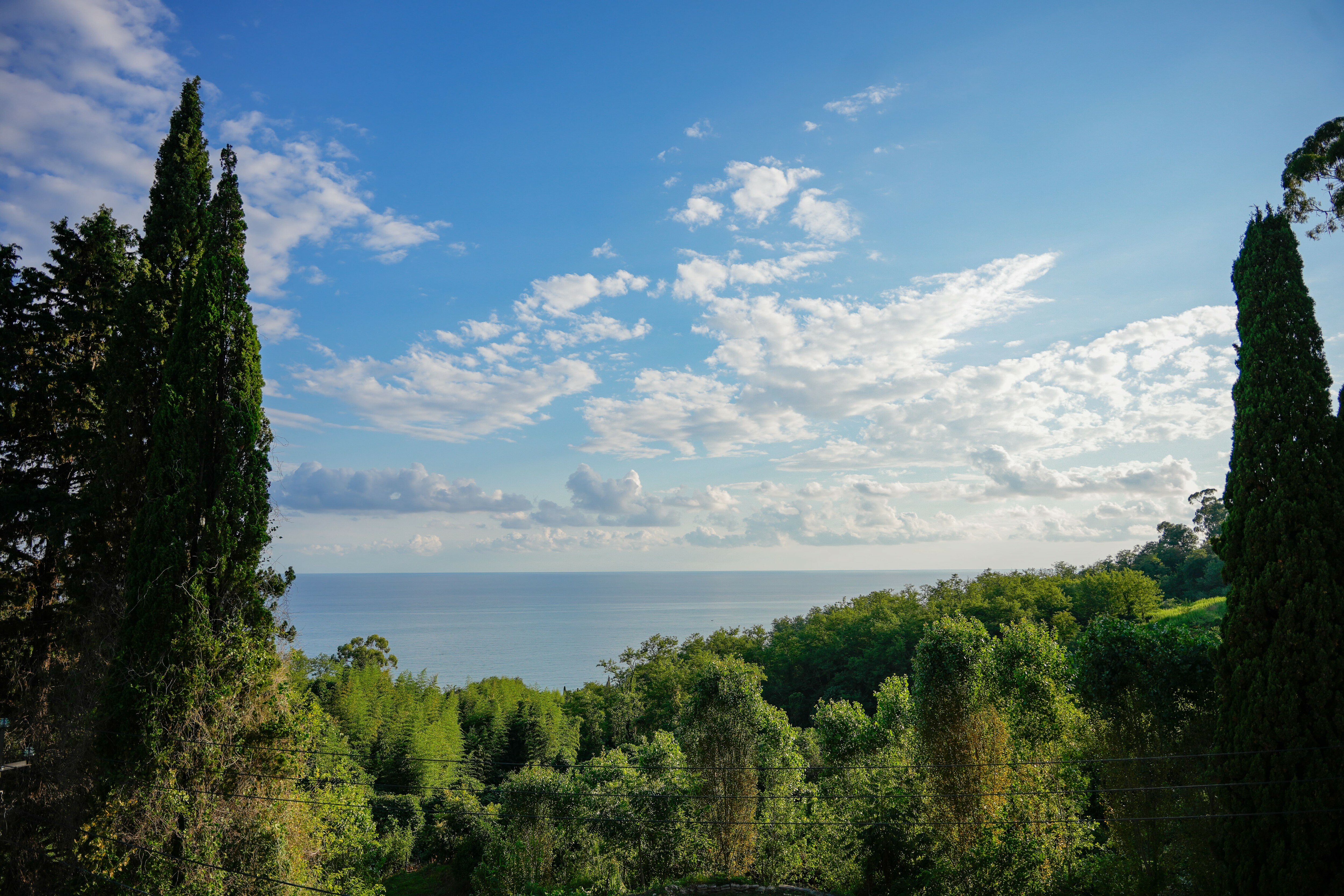 Фото Manon Hotel