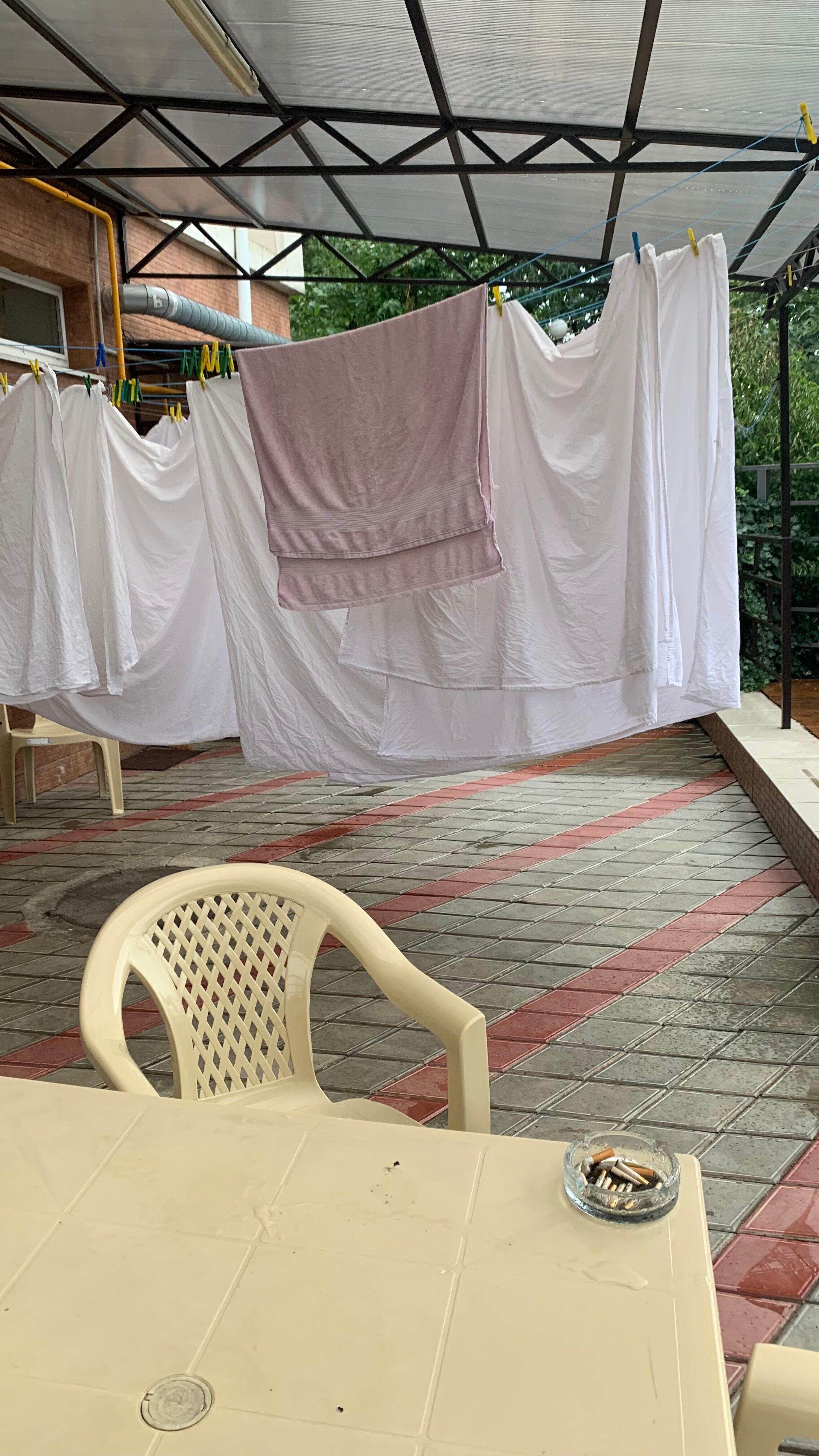 Фото Звездный