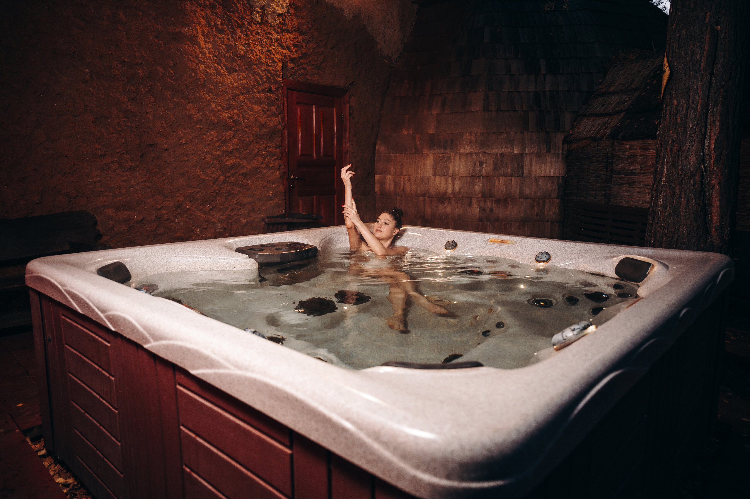 Фото Гуси-Лебеди