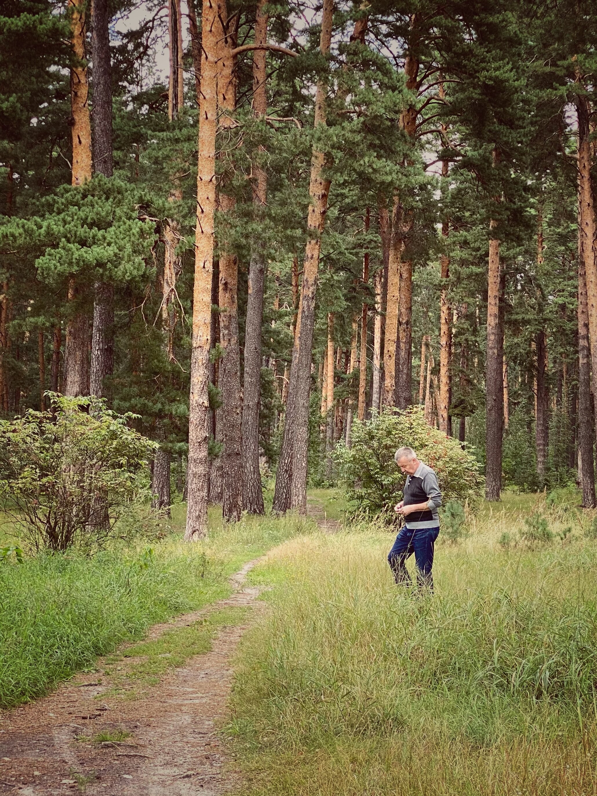 Фото Серебряный бор