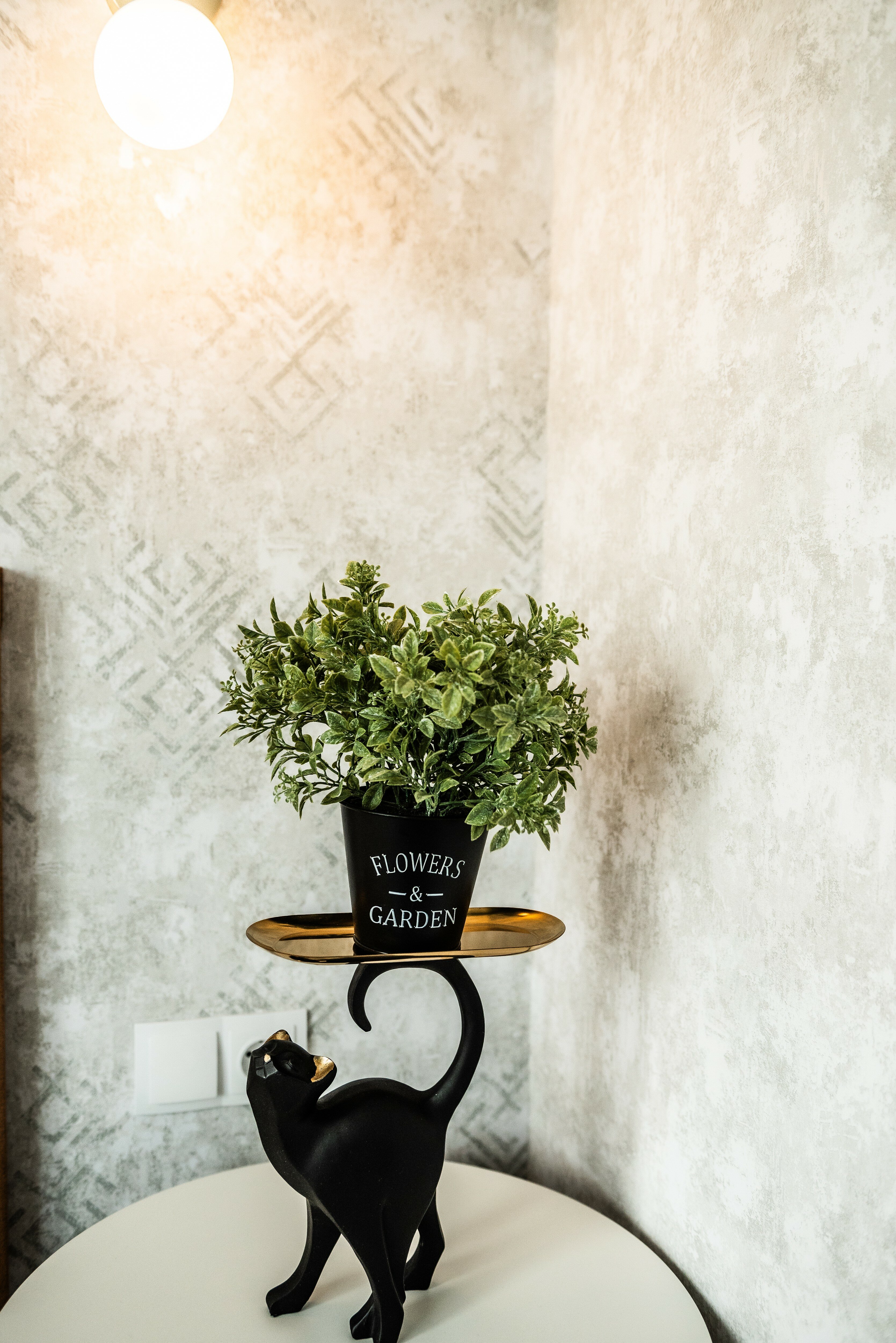 Фото Солнечная