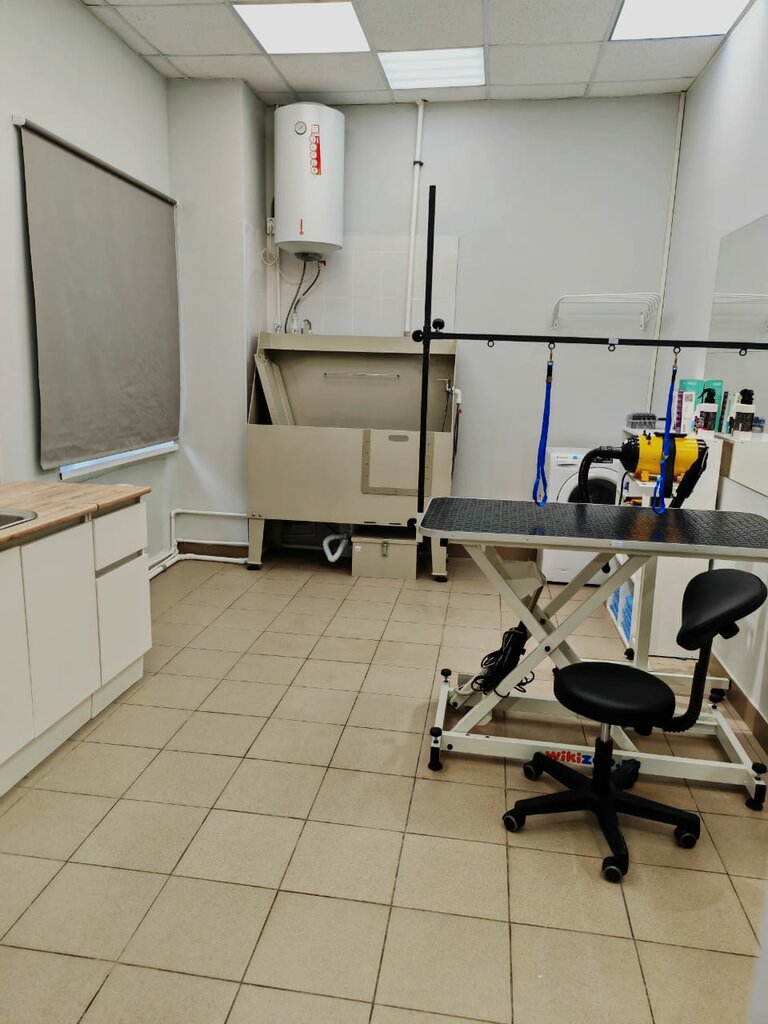 Pet salon Четыре Лапы Груминг, Pavlovskiy Posad, photo