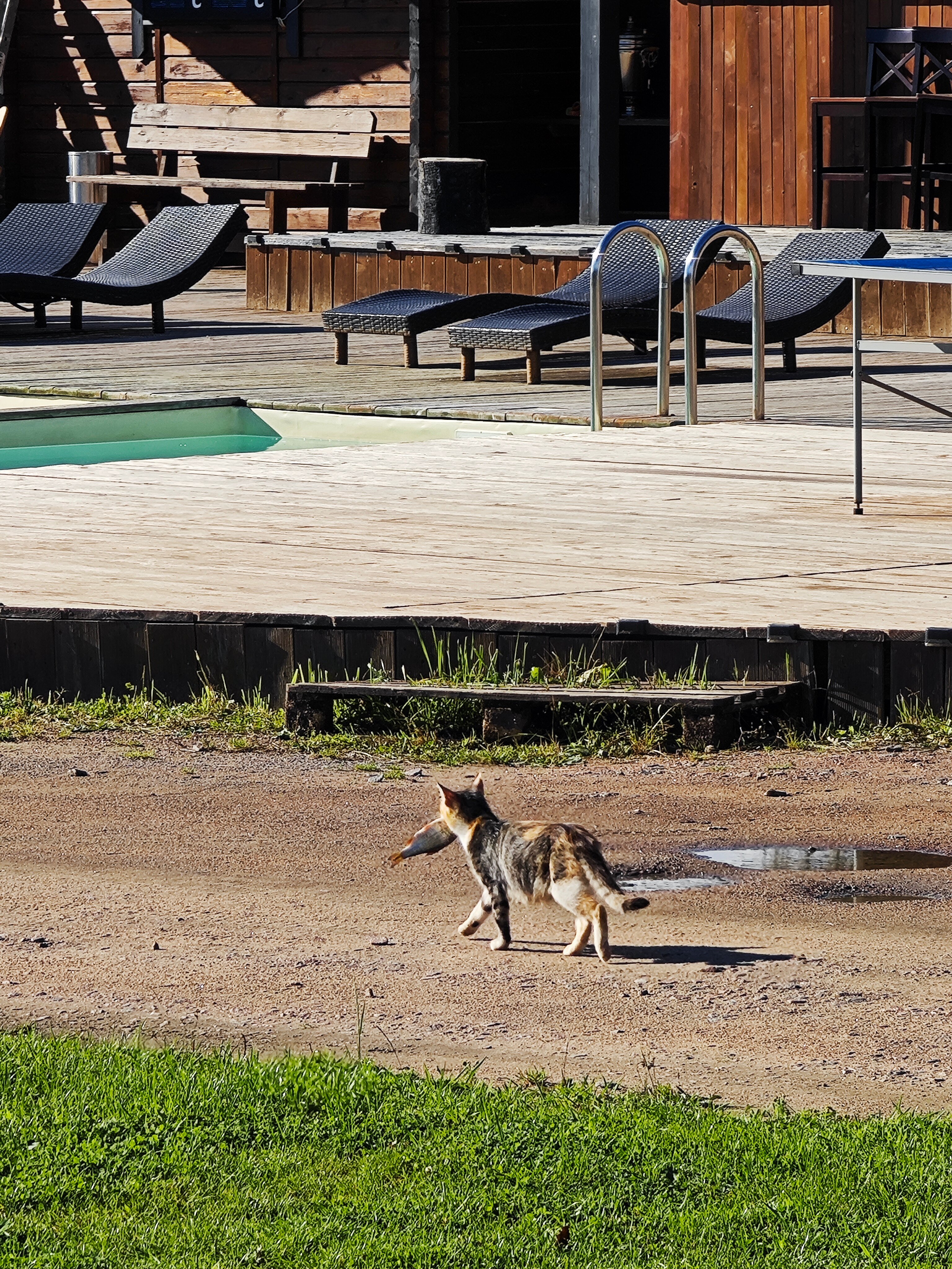 Фото Фазенда