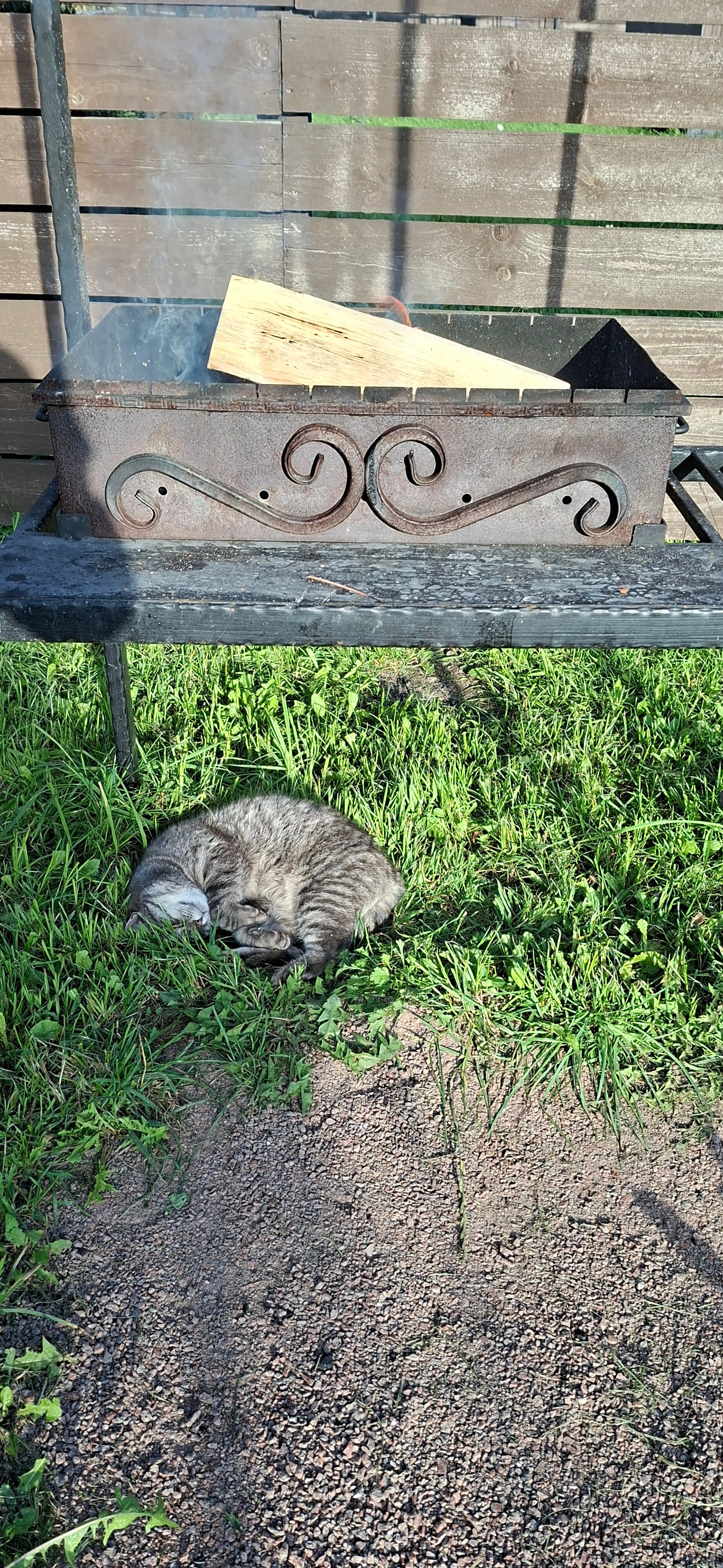 Фото 36 Градусов