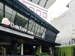 Oak Tree Urban Jakarta
