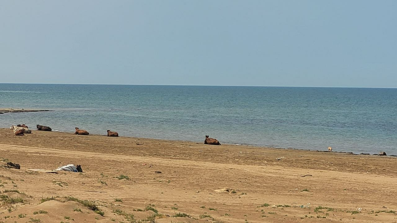 Фото 12 Причал