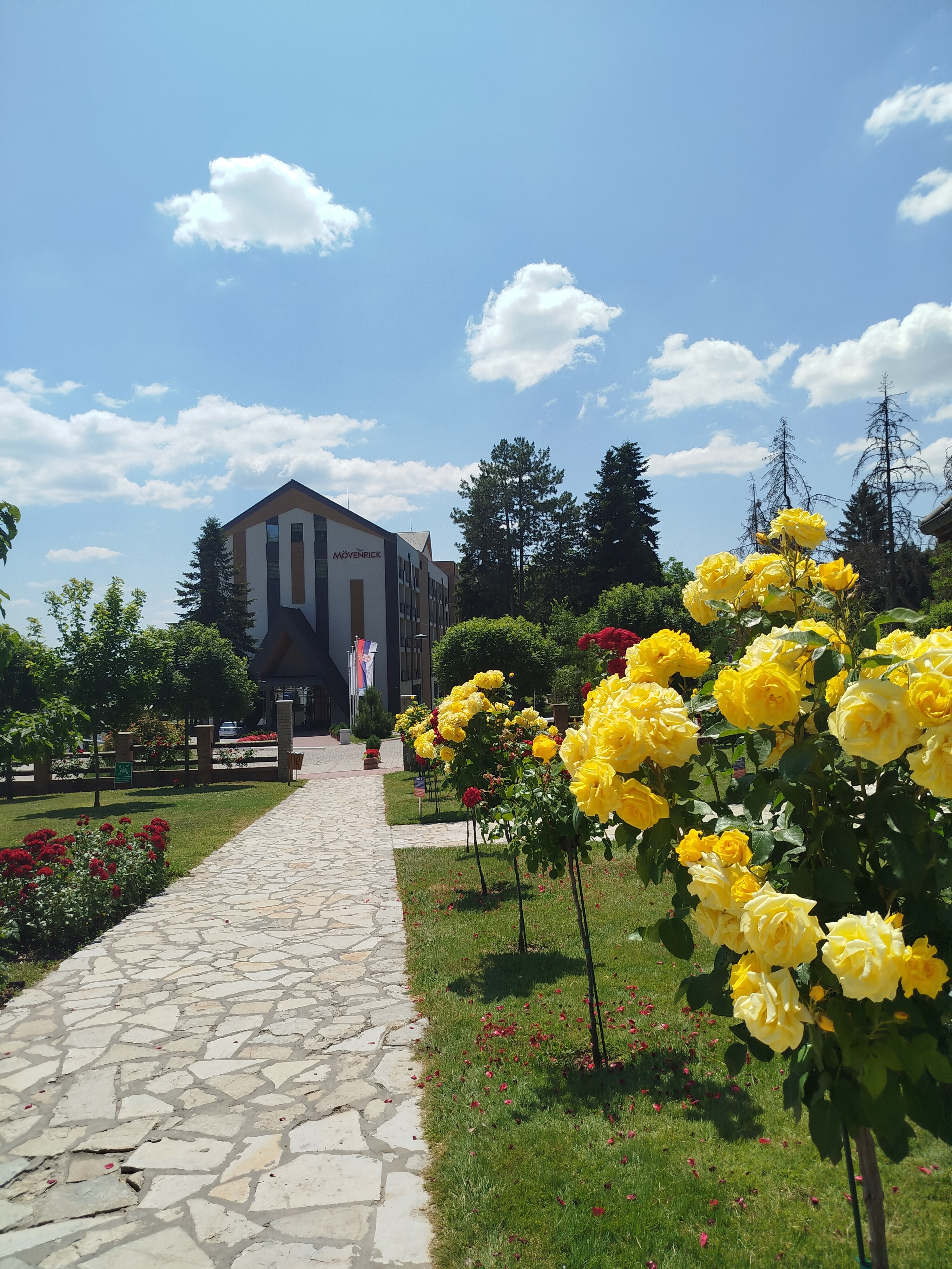 Фото Mövenpick Resort and SPA Fruske Terme