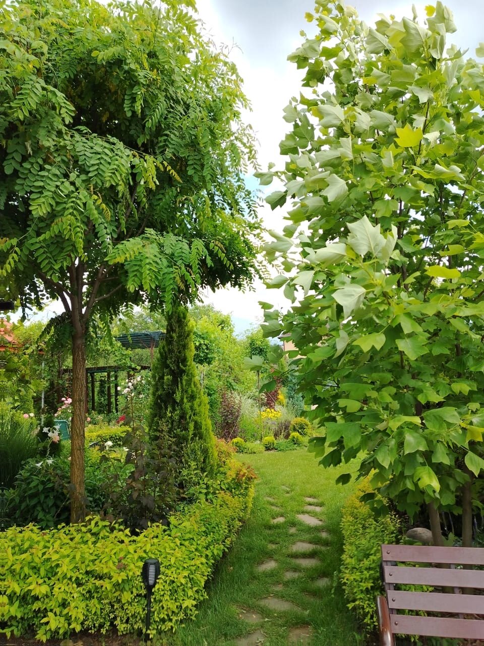 Фото Дача на юге