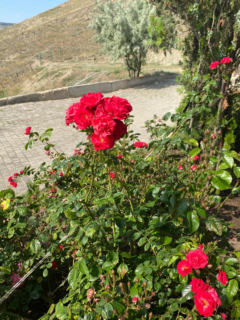 Фото Морской