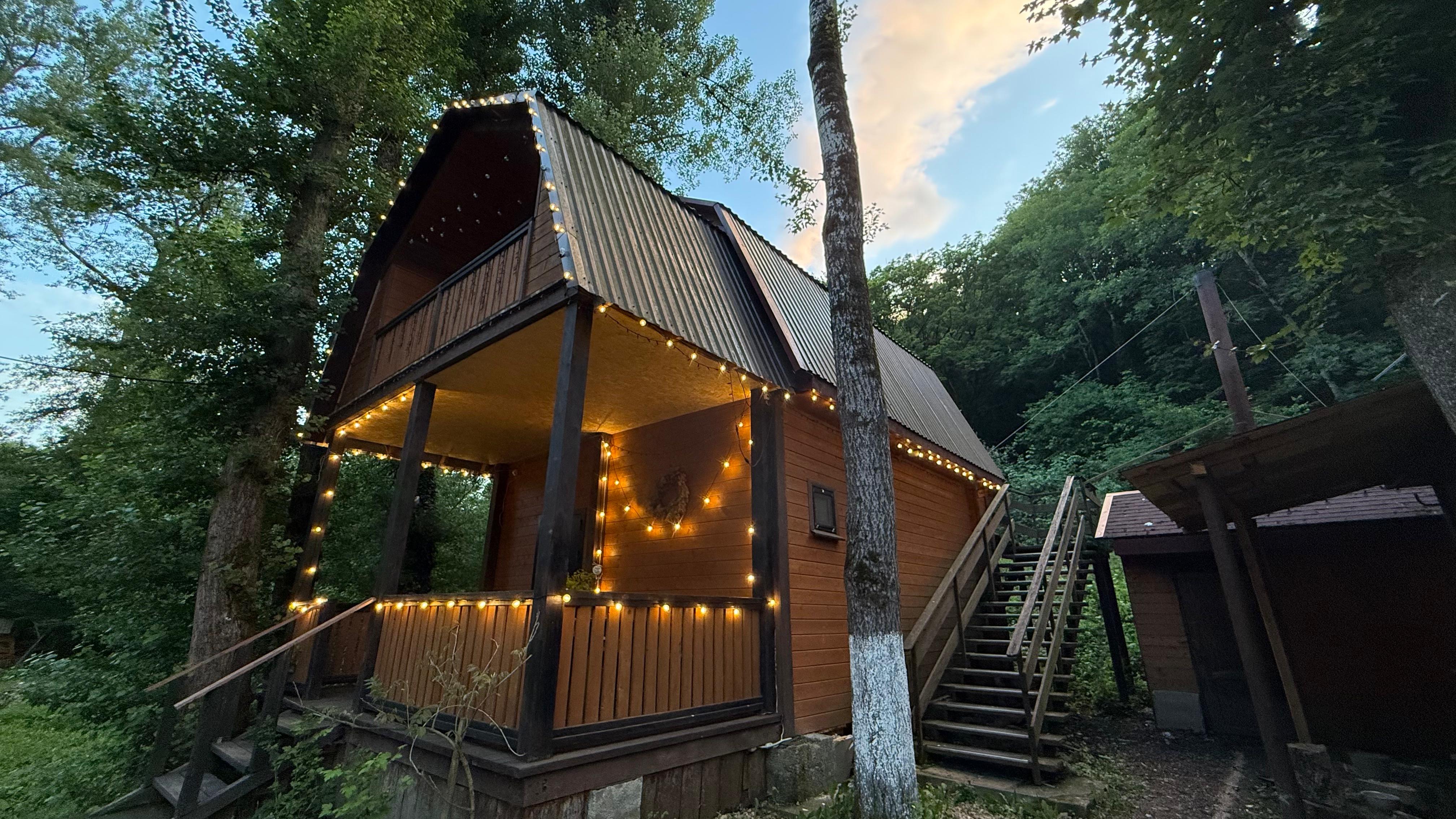 Фото Кактус Арт