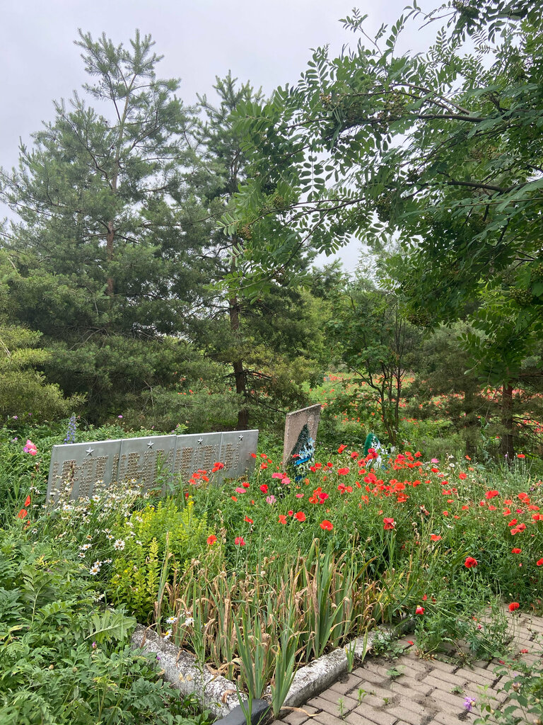 Monumento, memorial Братская могила советских воинов с. Рождественка, , foto