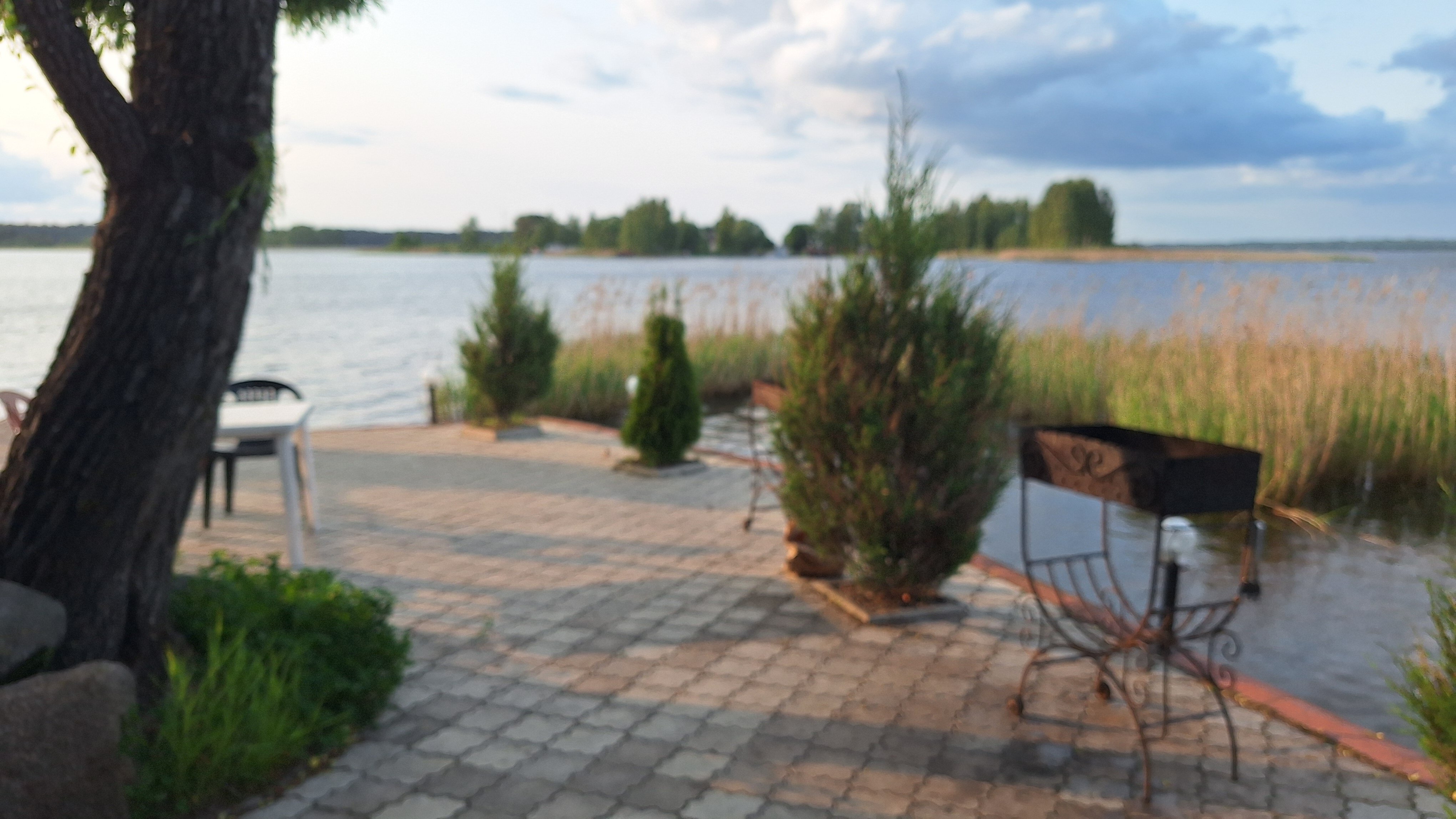 Фото Любовь