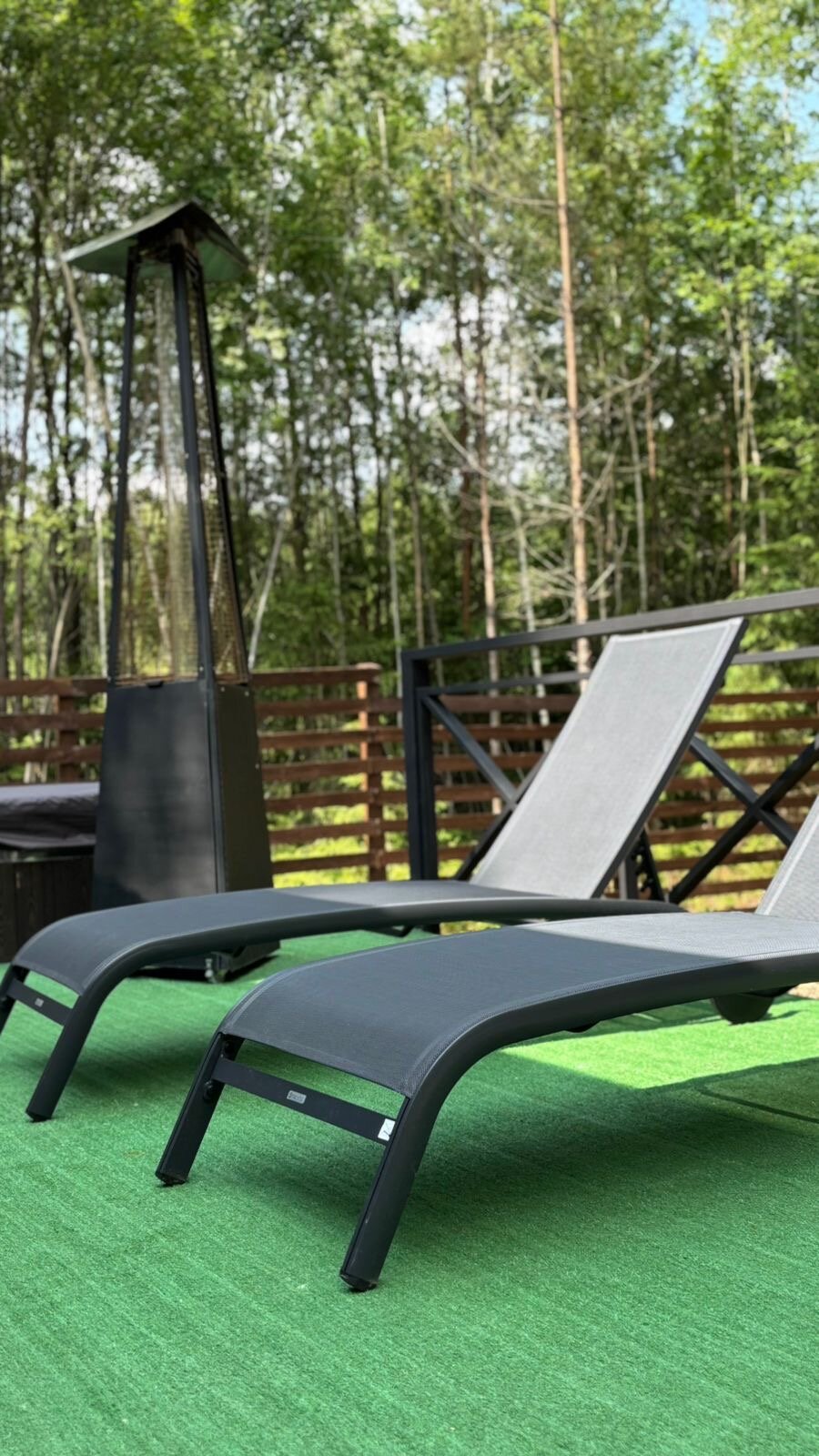 Фото Старый дуб