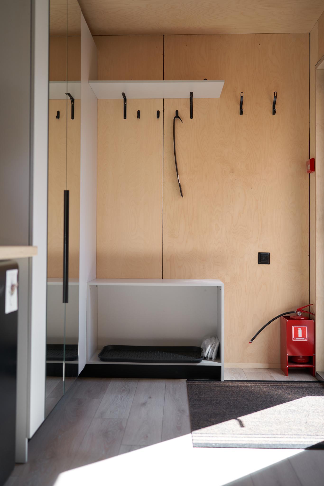 Фото Снежные Гуси