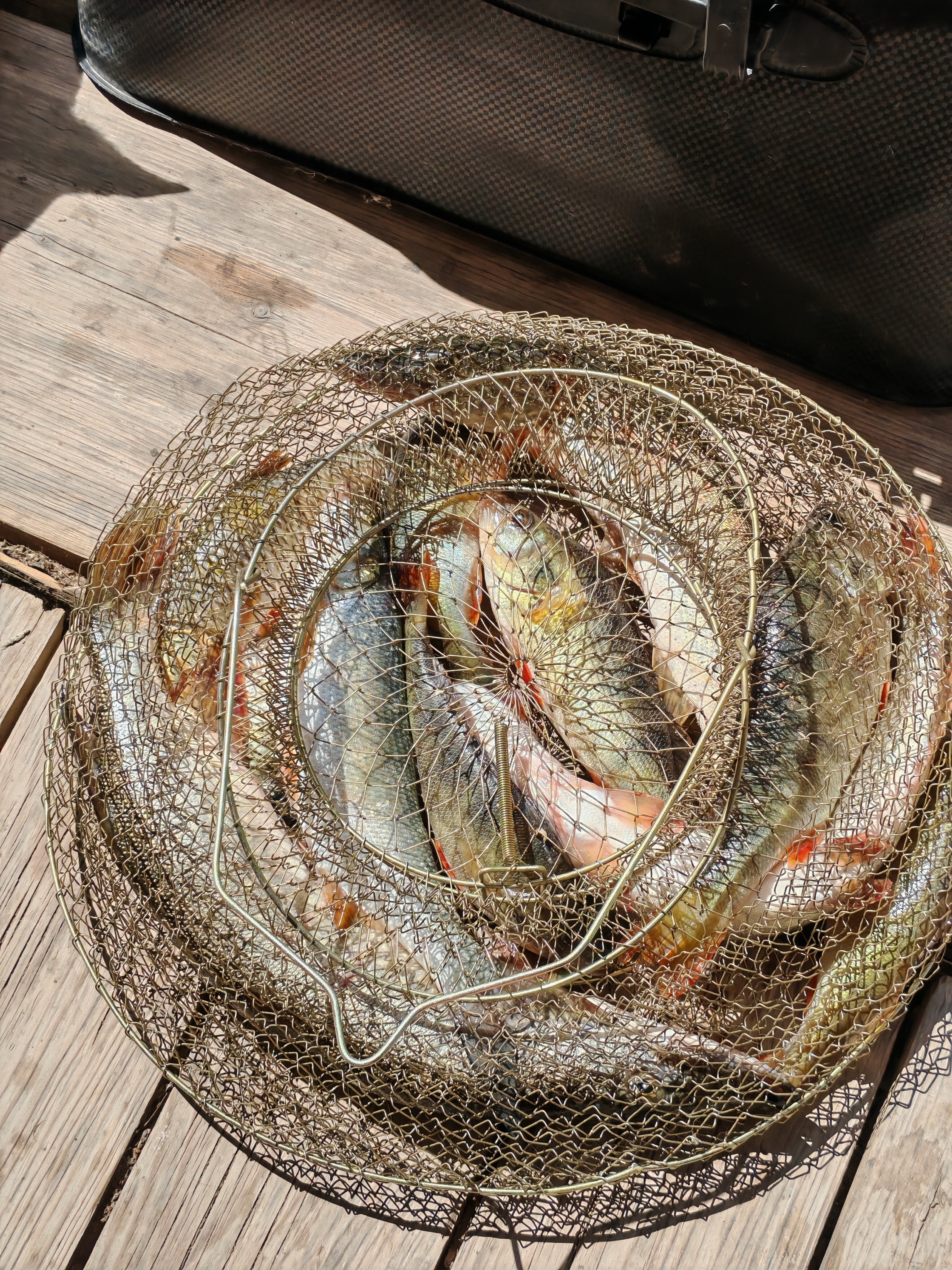 Фото Поплавок