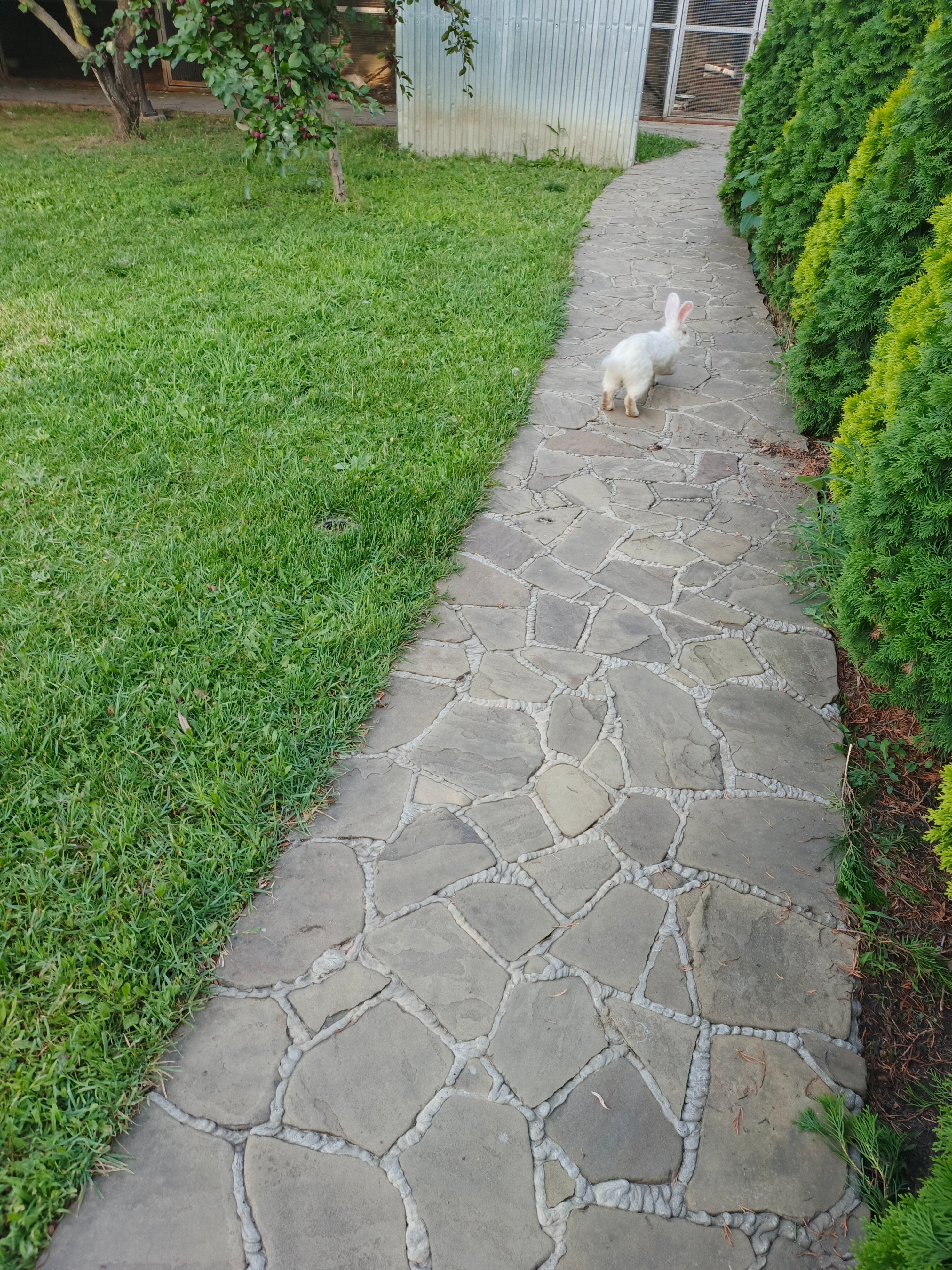 Фото Капустяная балка