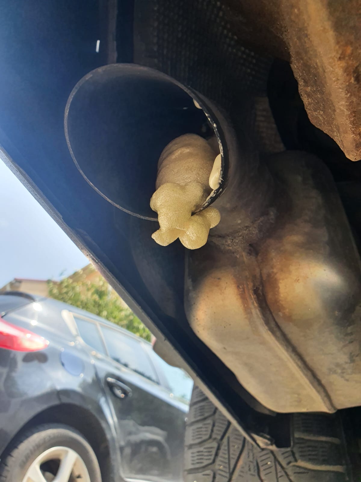 Фото Орхидея Парк