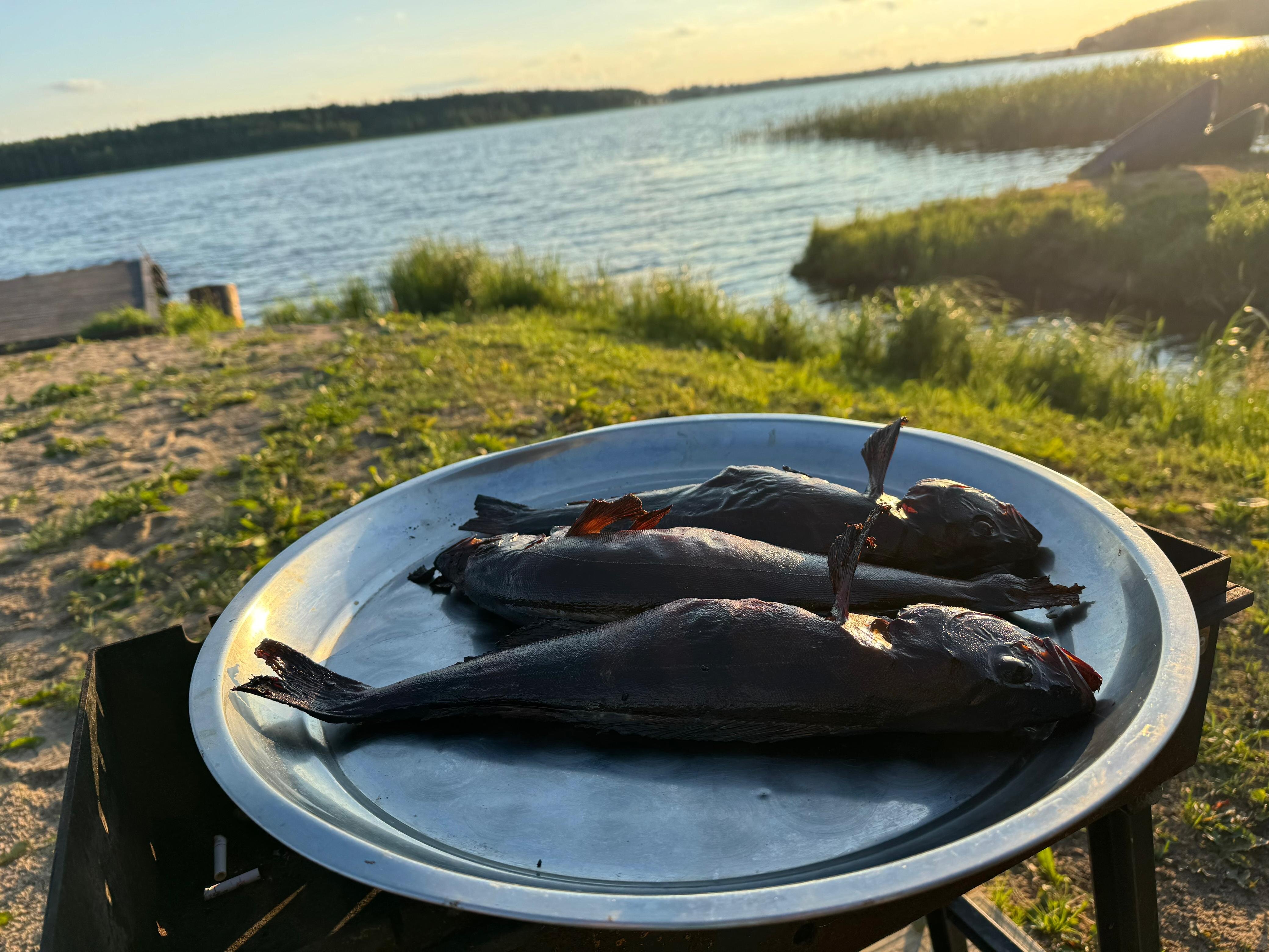 Фото Озёрный рай