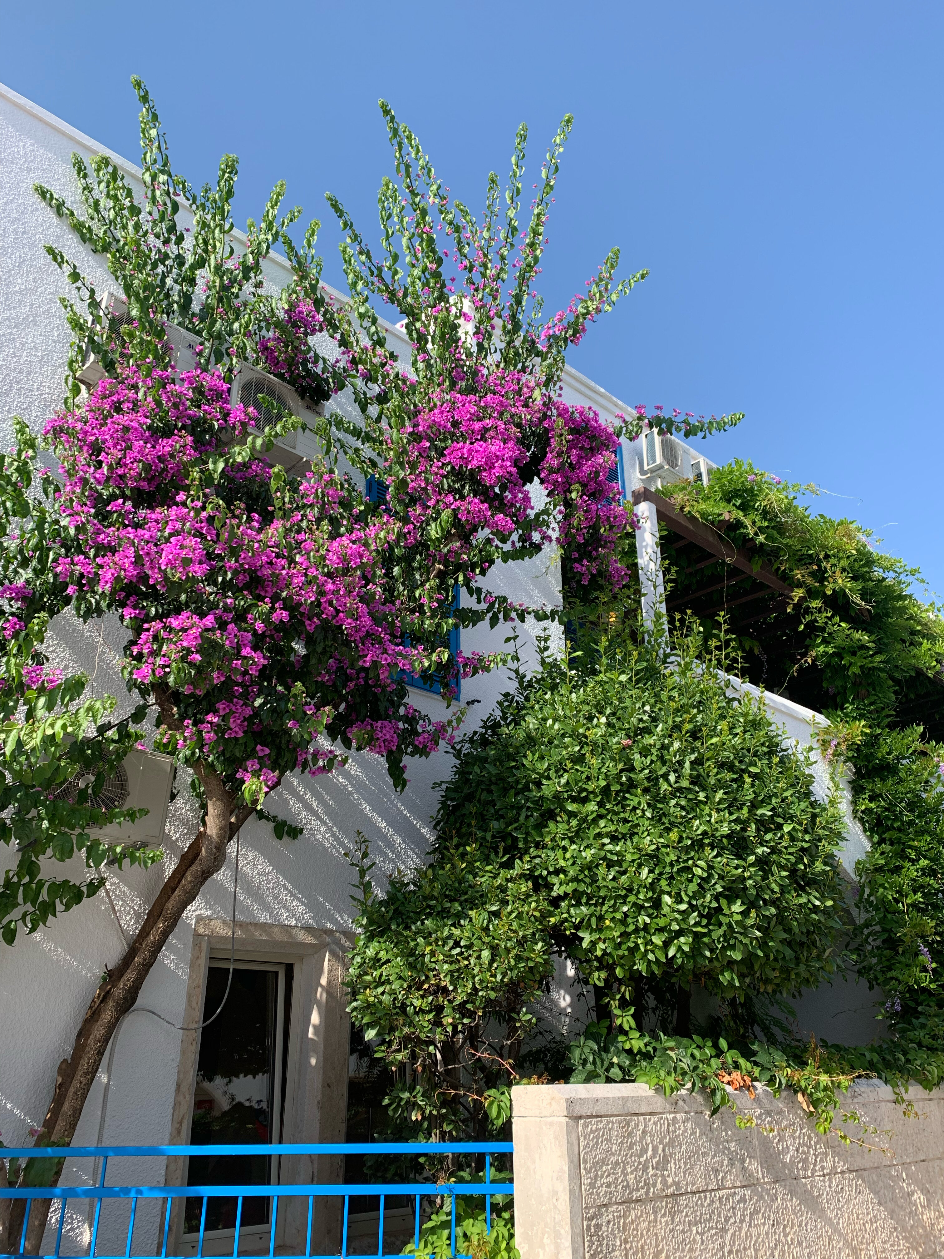 Фото Slovenska Plaza