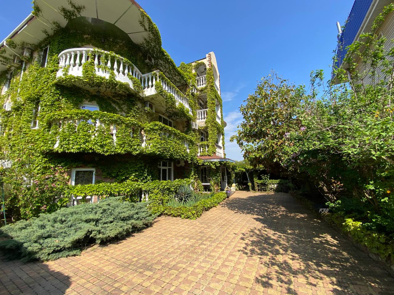 Фото Гестия