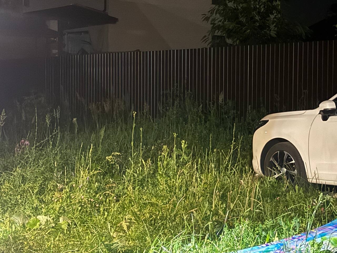 Фото Экодом у пруда