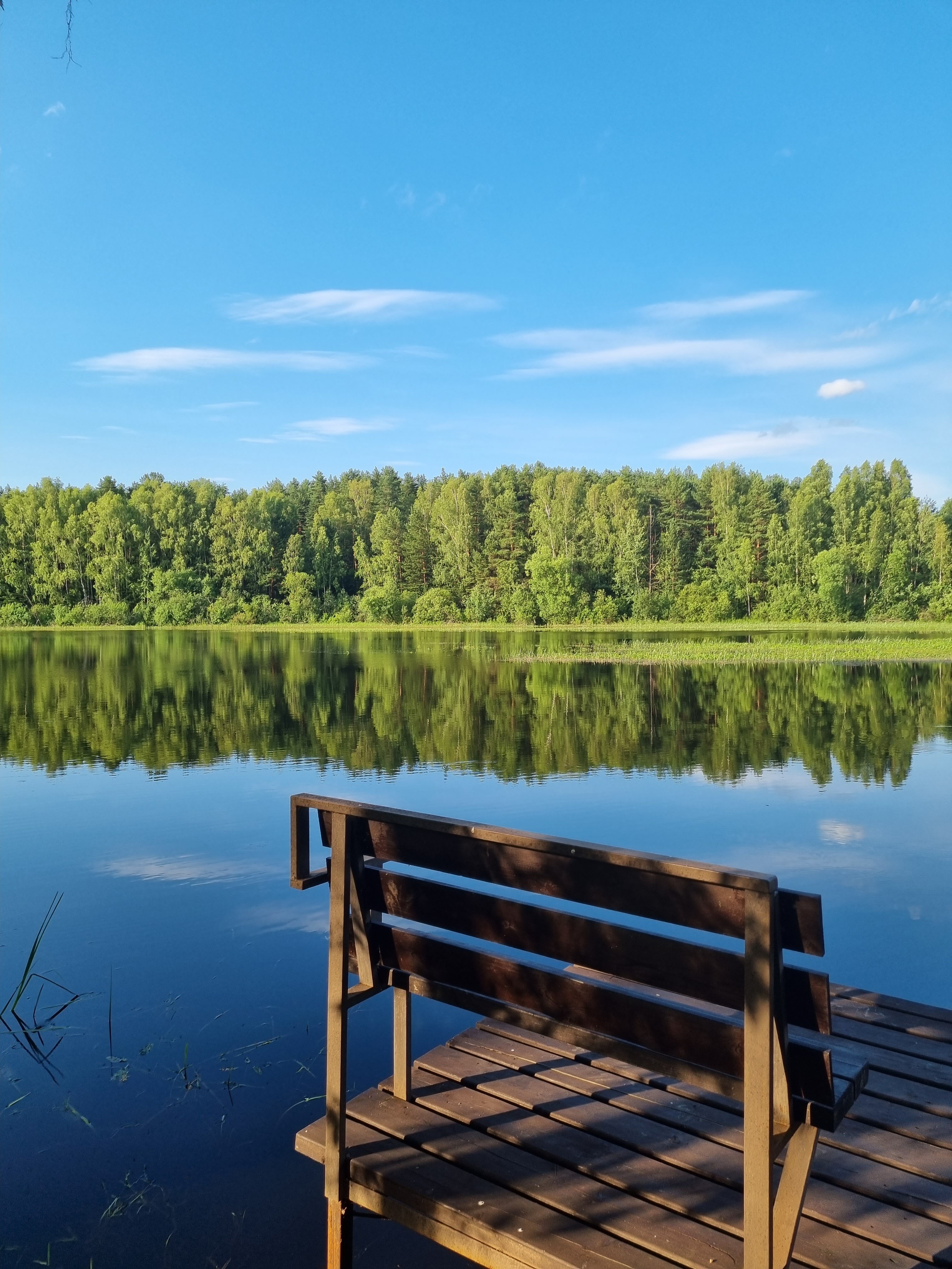 Фото На Чеснаве