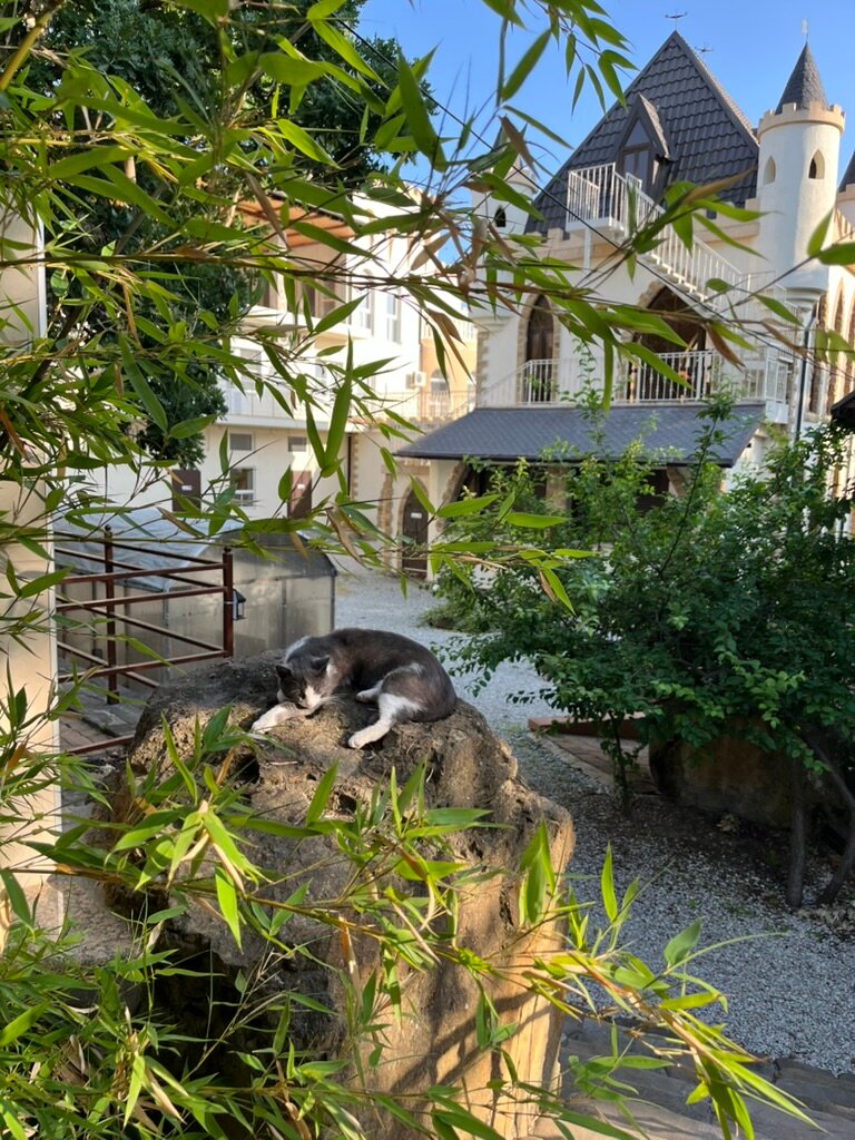 Фото Персиковый замок