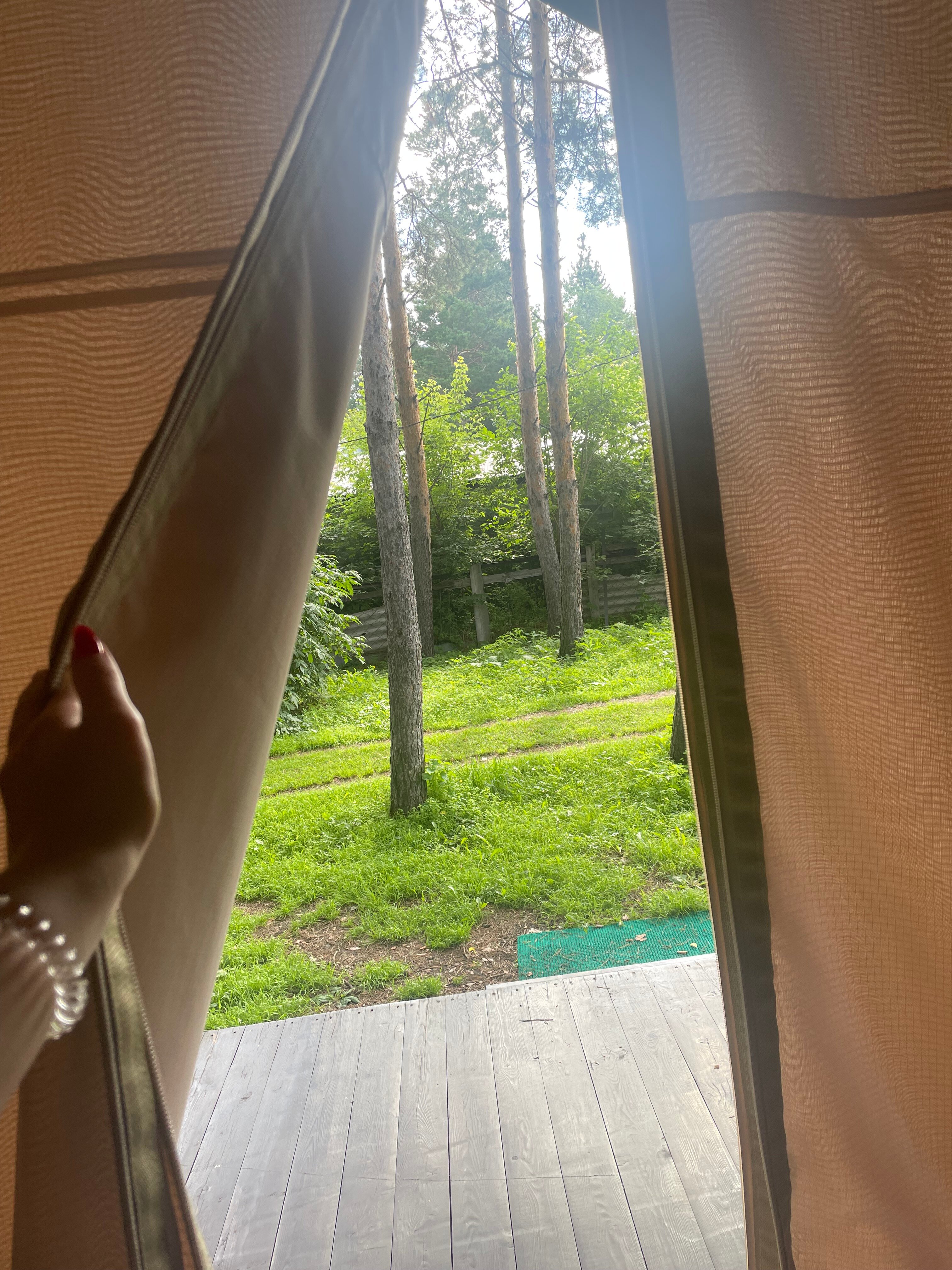 Фото Лесная семья