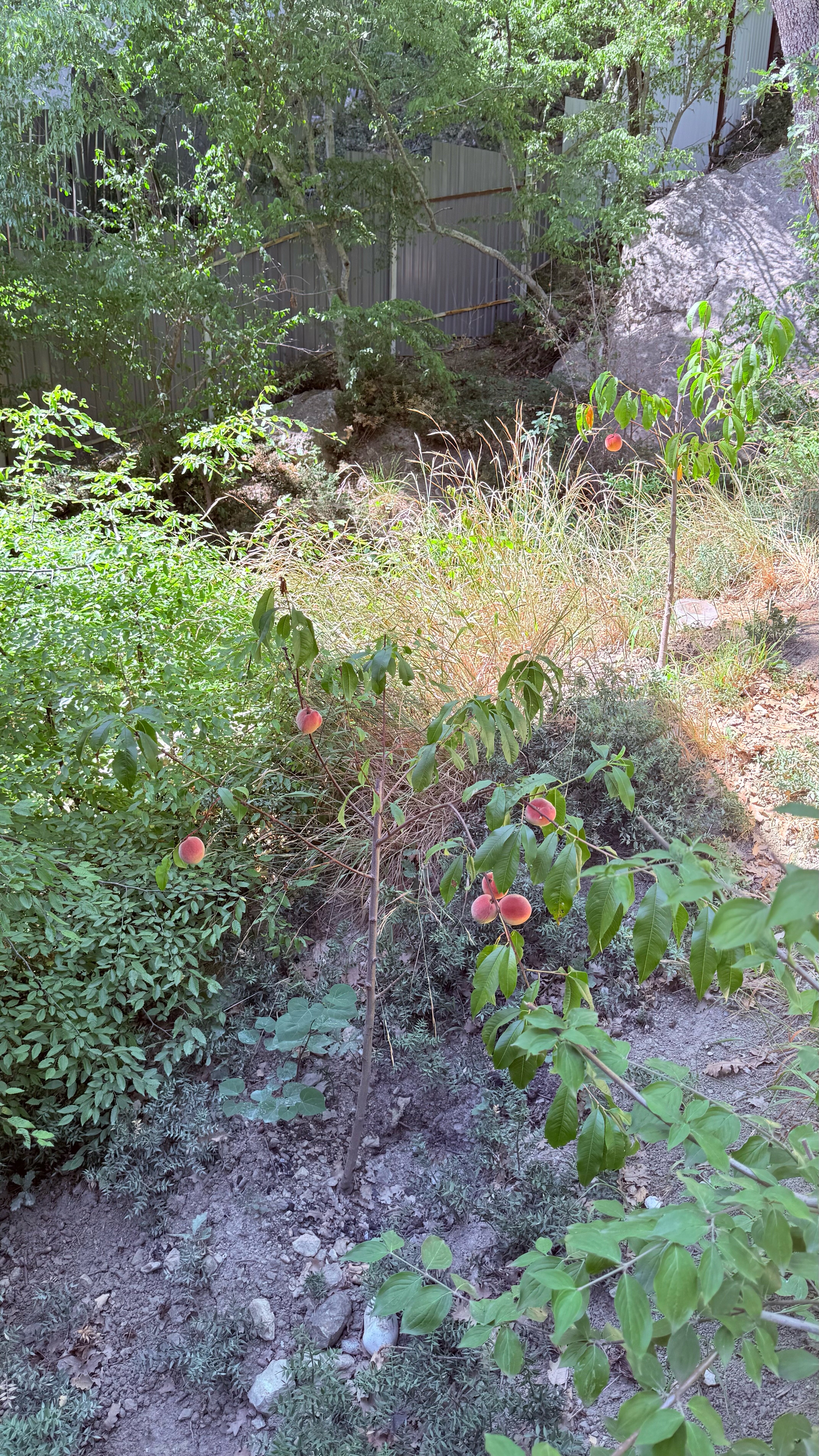 Фото Милый дом