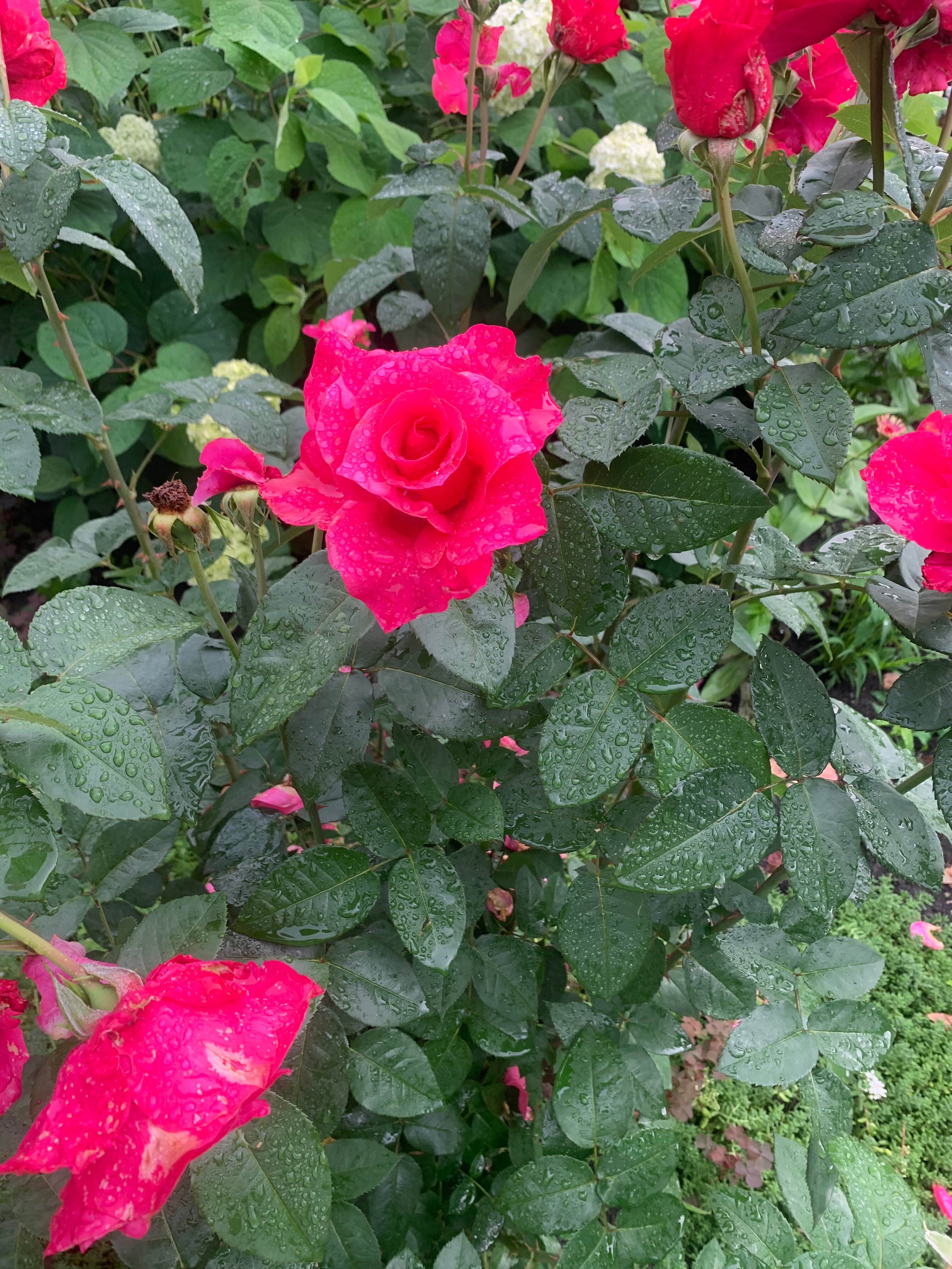 Фото Татьянин Дом