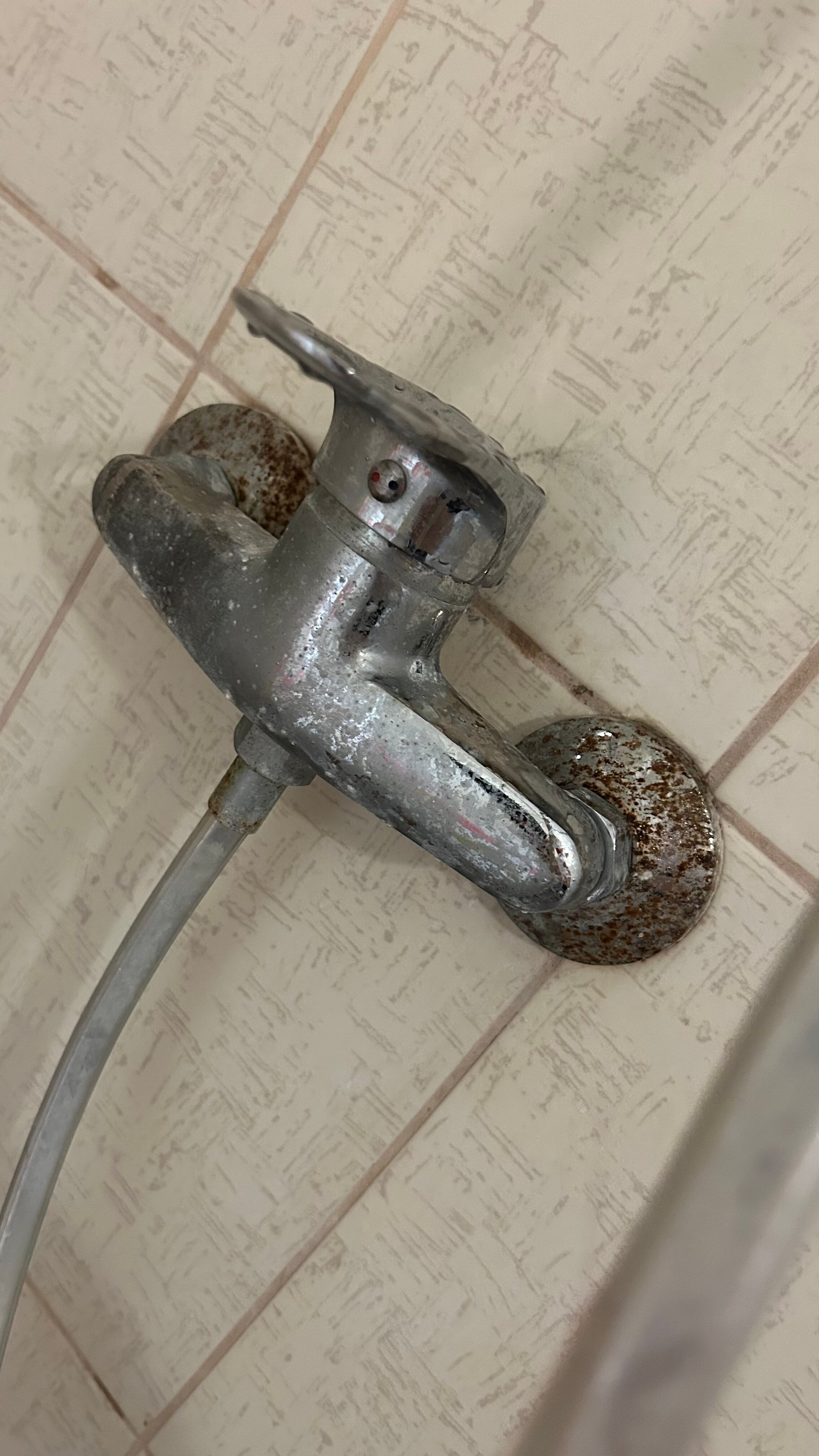 Фото Фламинго