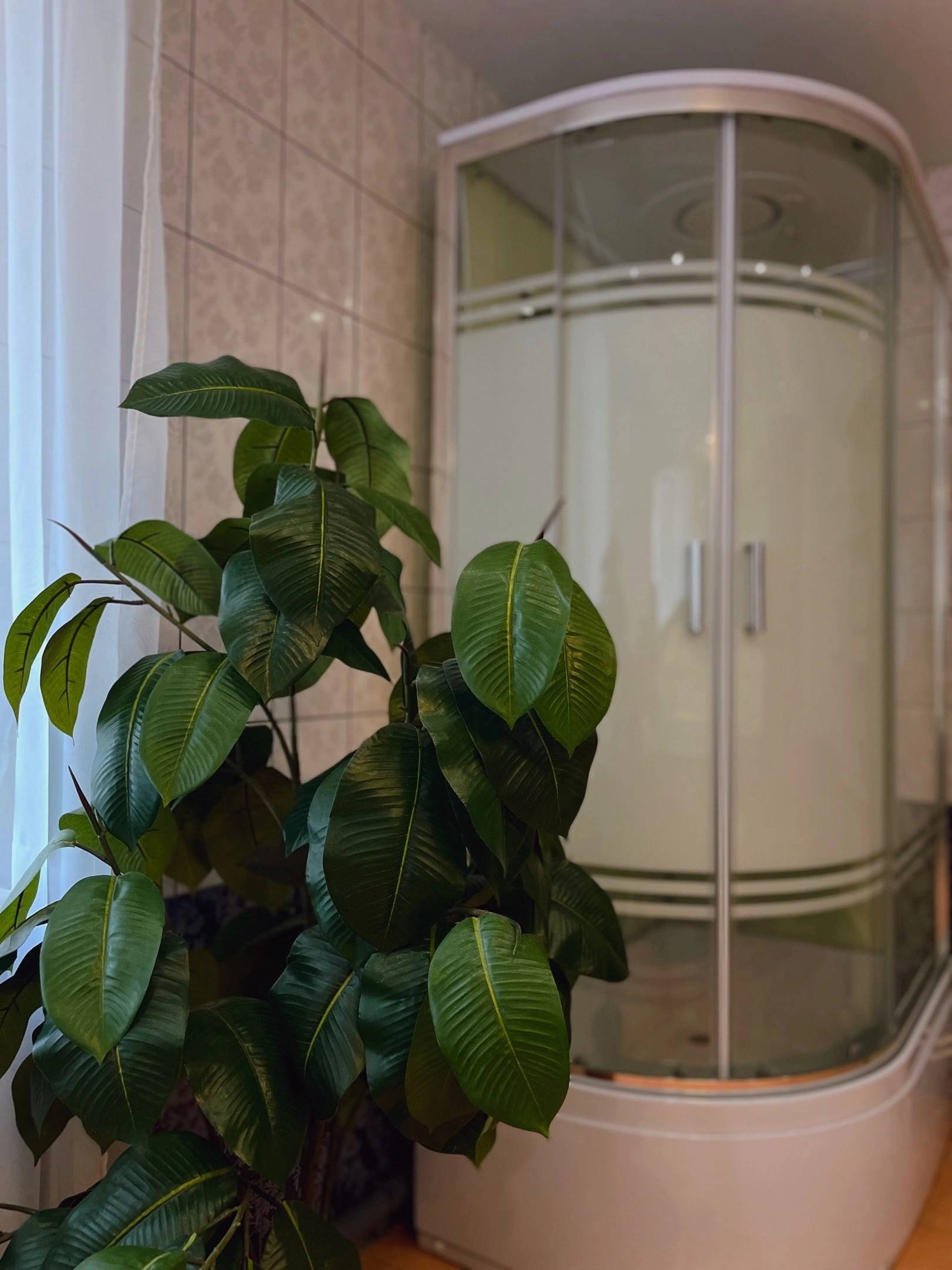 Фото Грин Руф