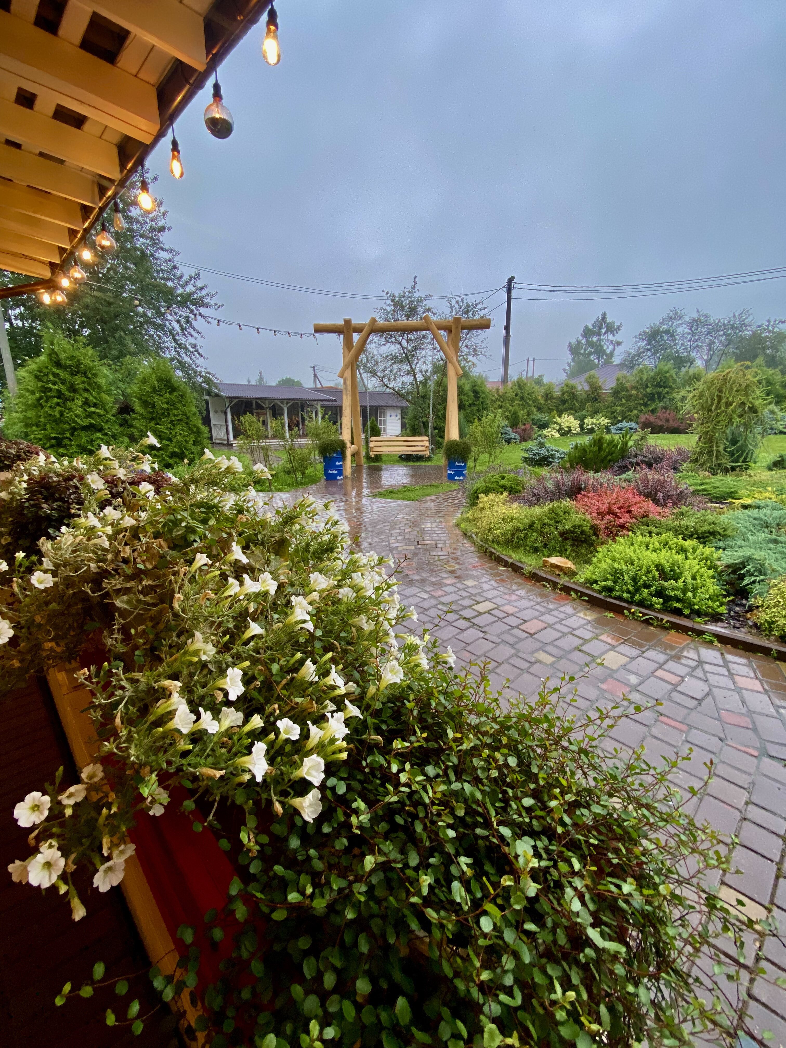 Фото Аколица