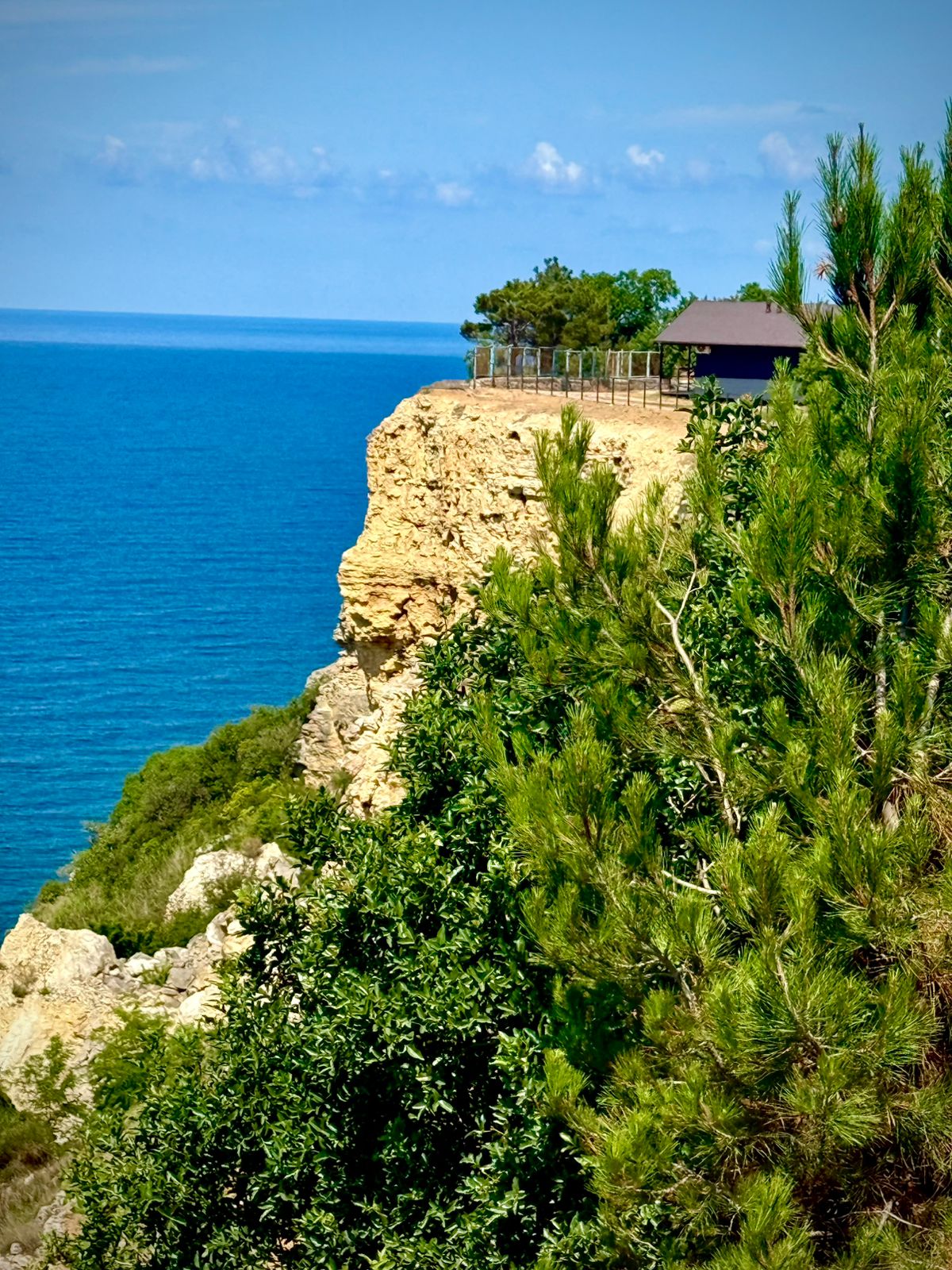 Фото Каравелла