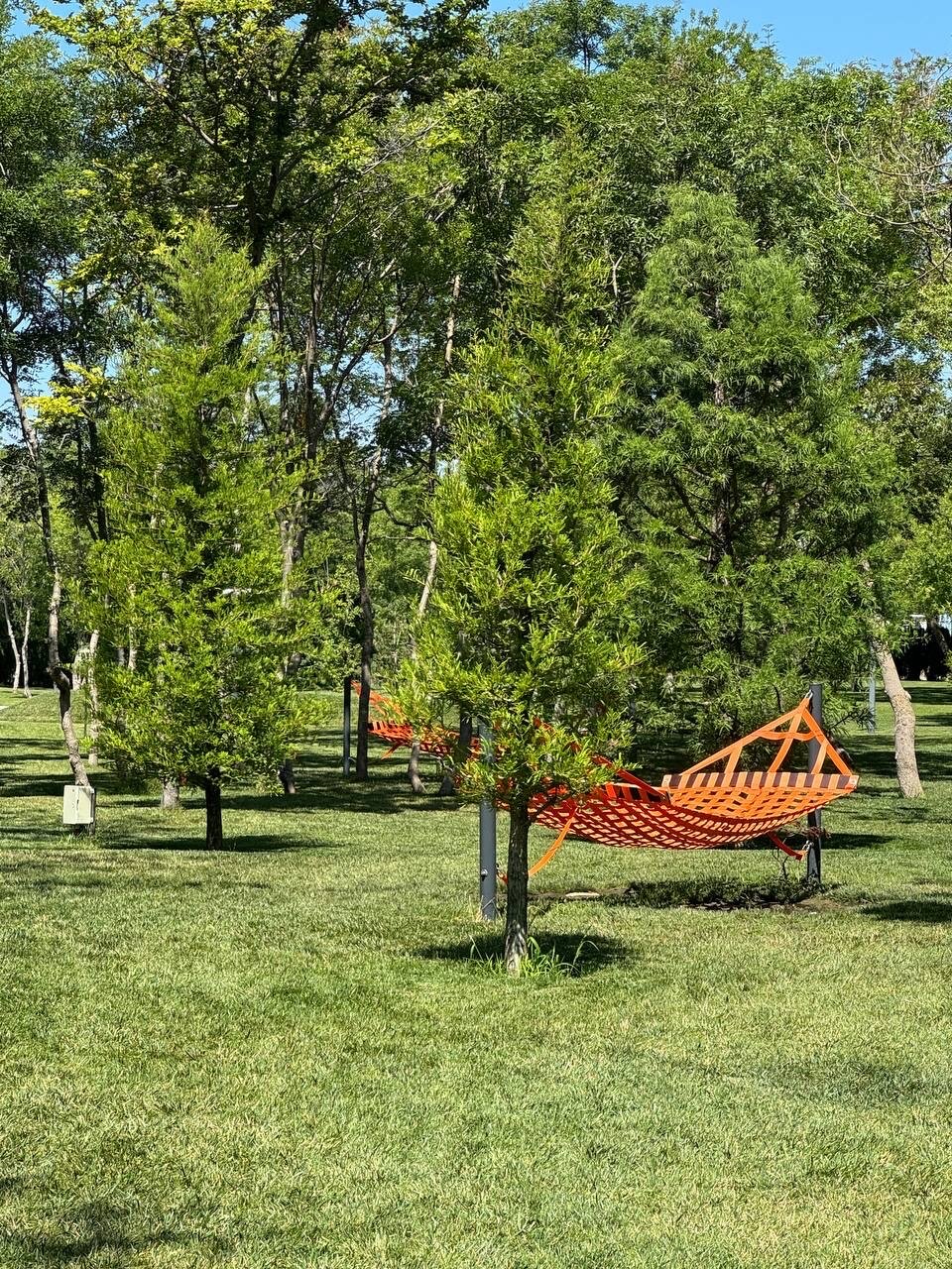 Фото Ахиллес