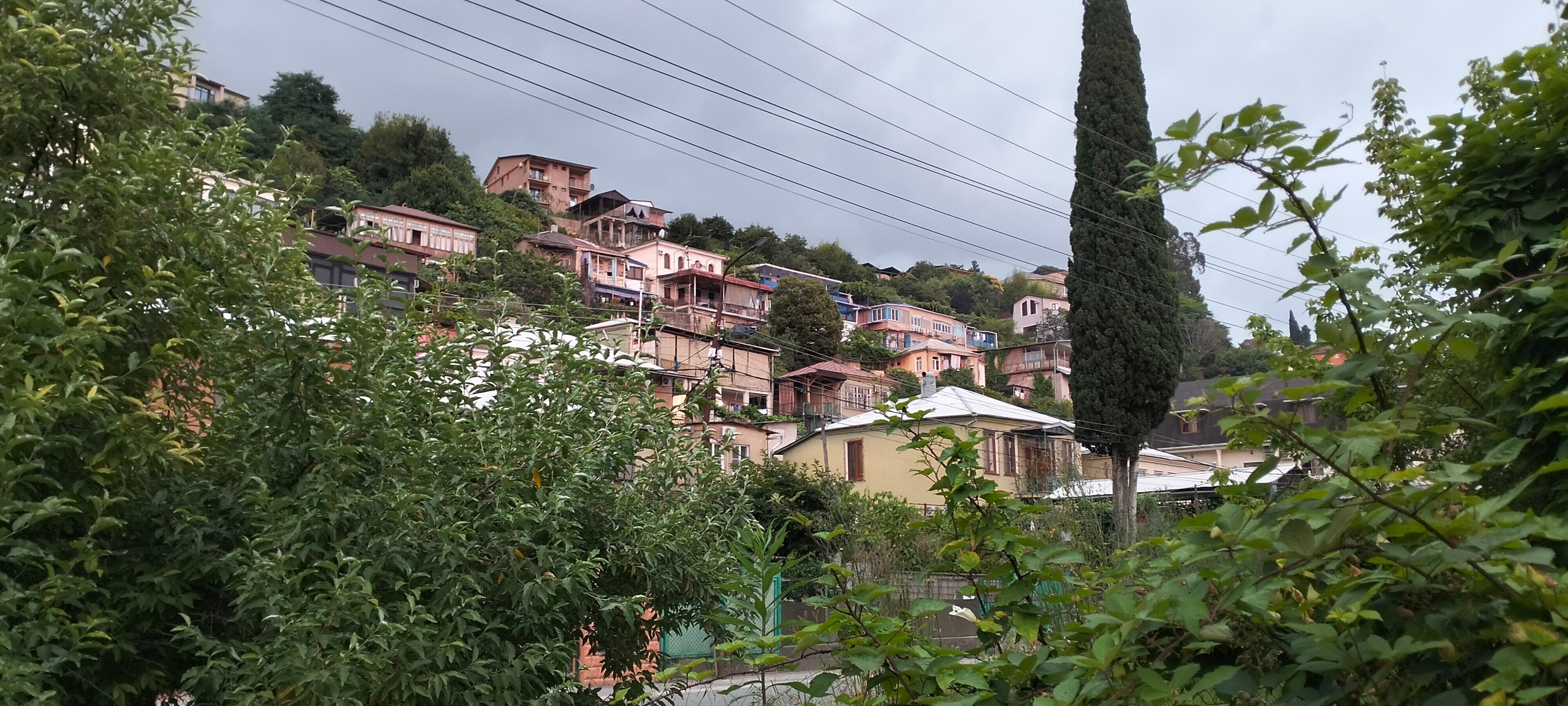 Фото Малина